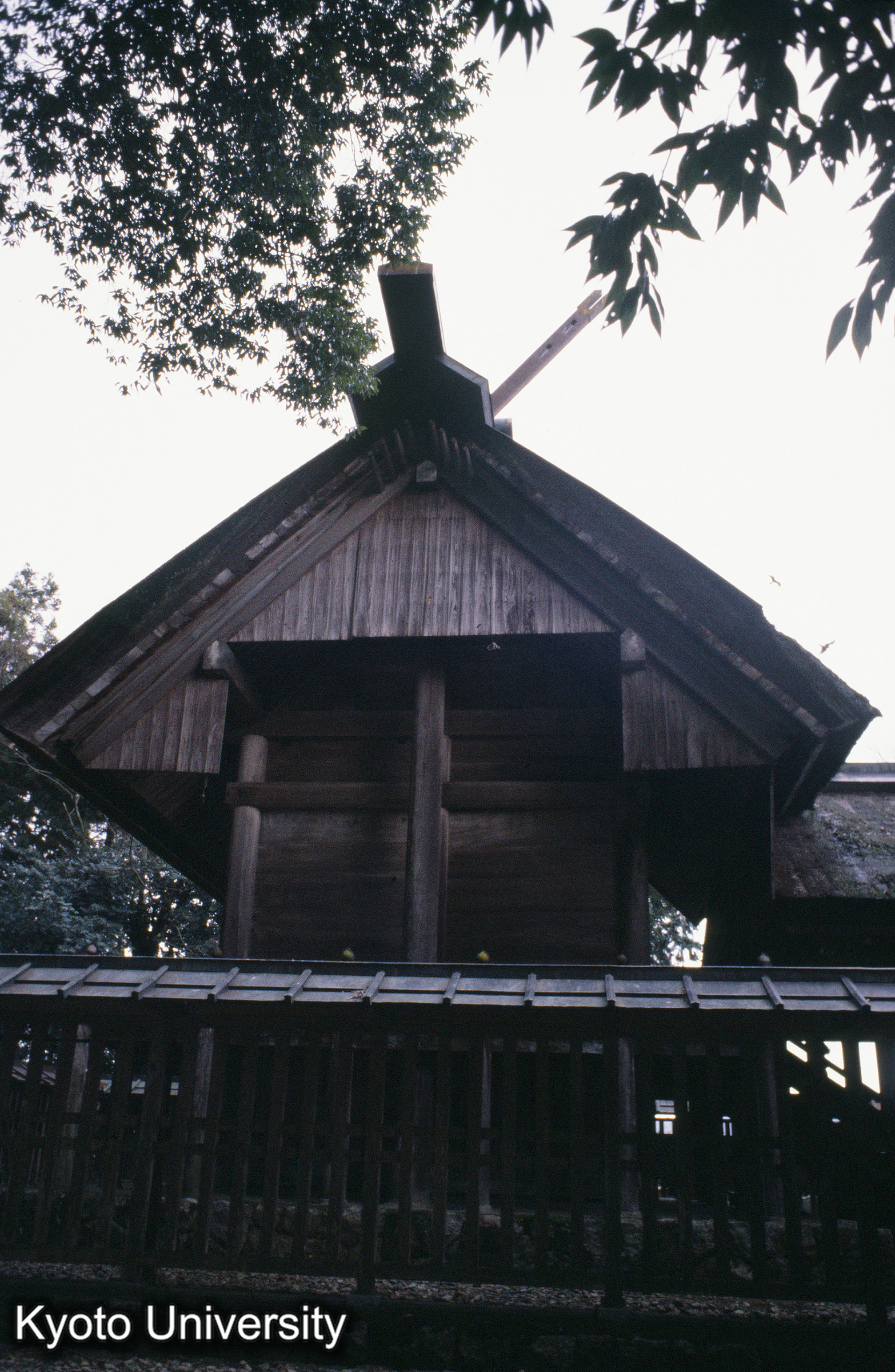 ［スライド］ (1)