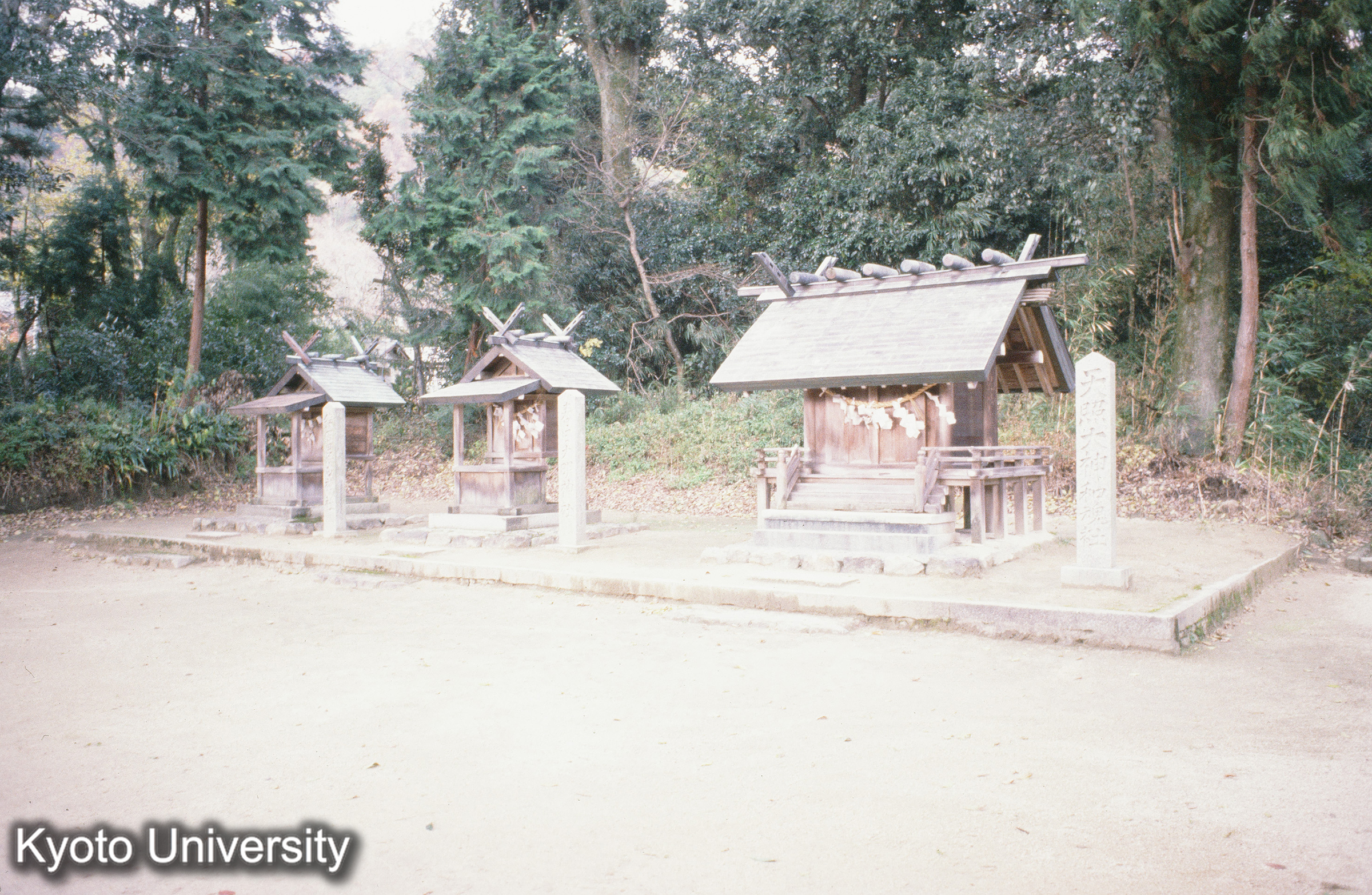 ［スライド］ (1)