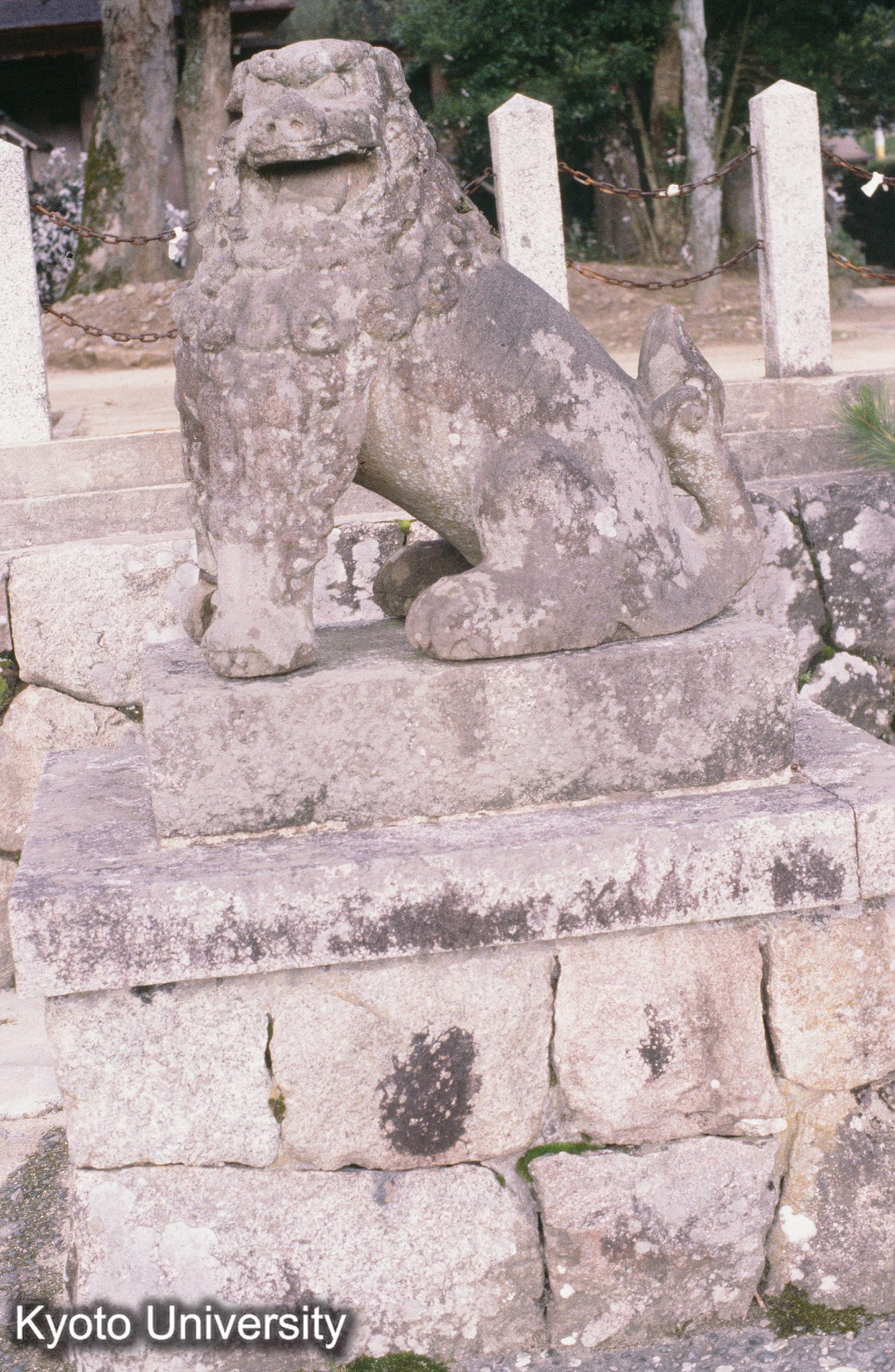 ［スライド］ (1)