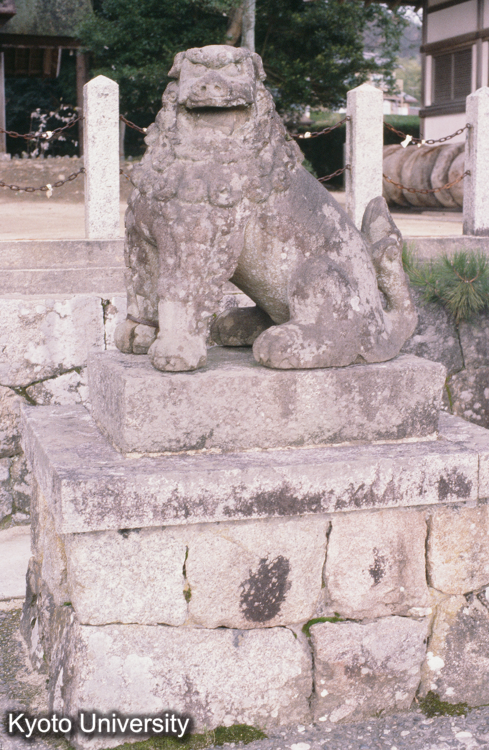 ［スライド］ (1)