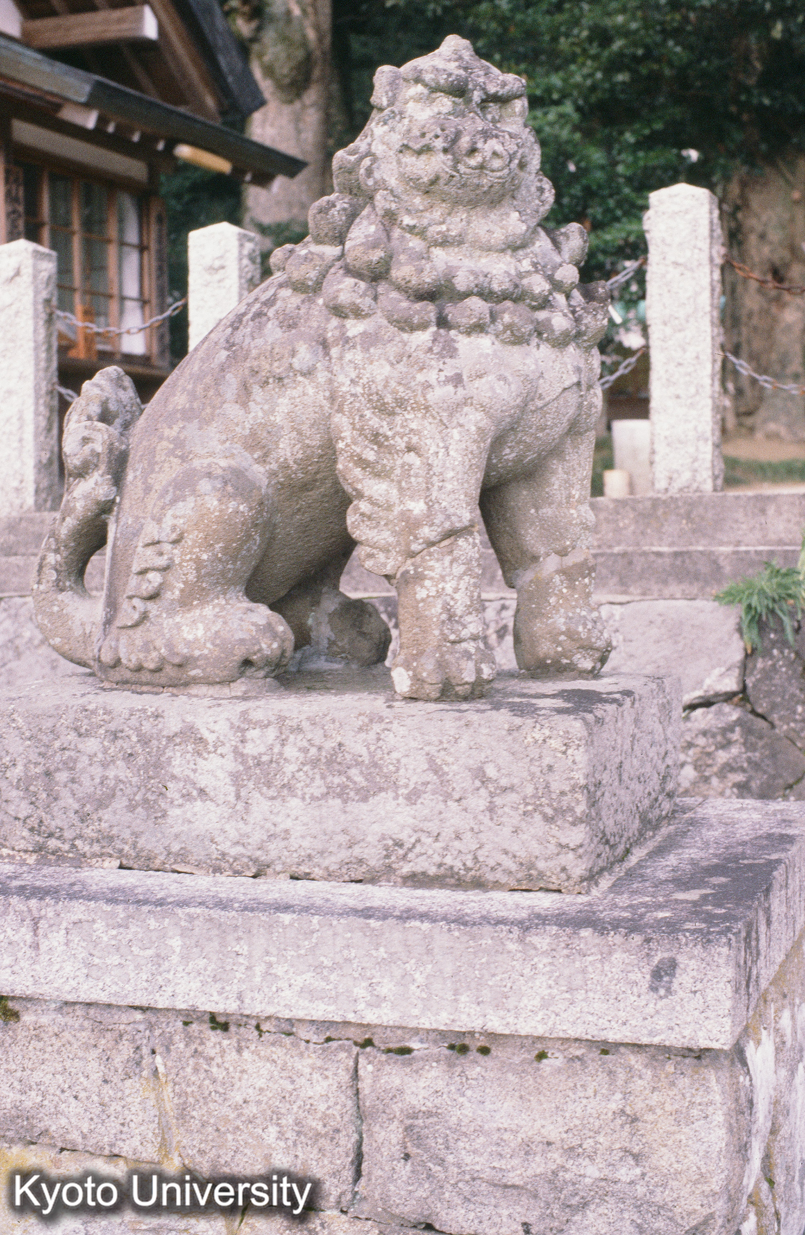 ［スライド］ (1)