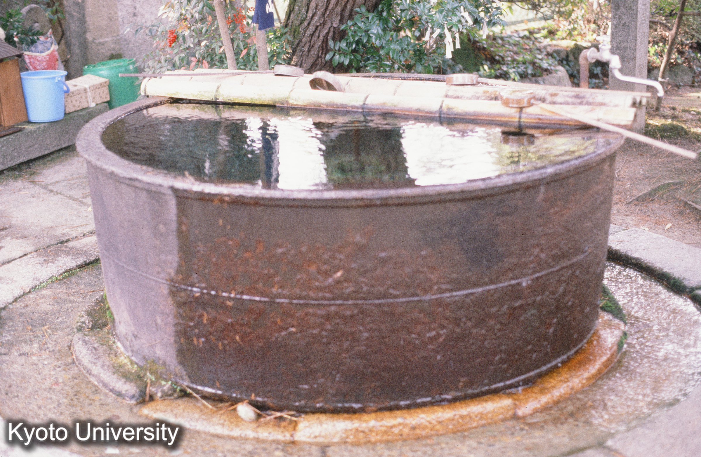 ［スライド］ (1)