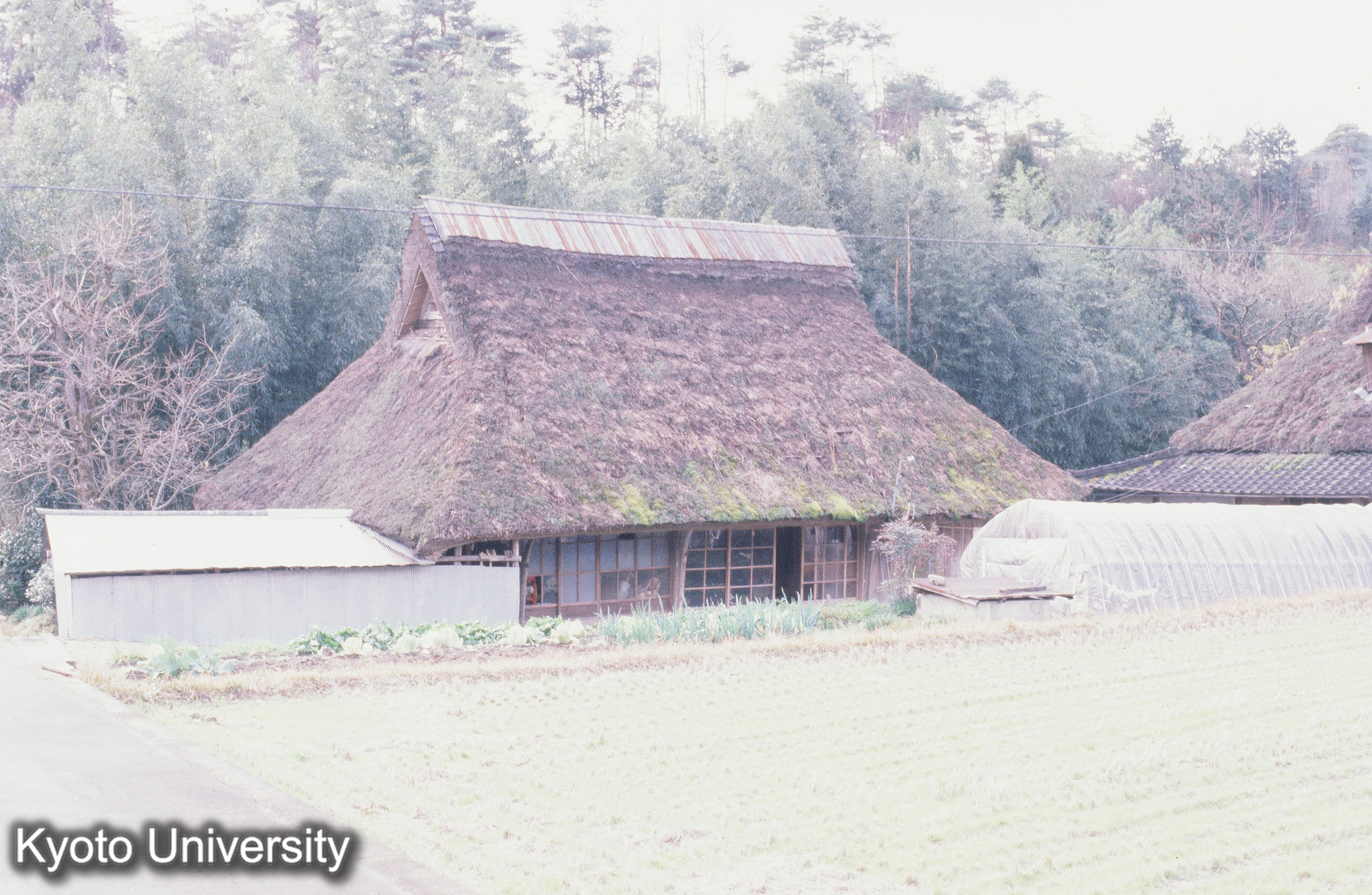 ［スライド］ (1)