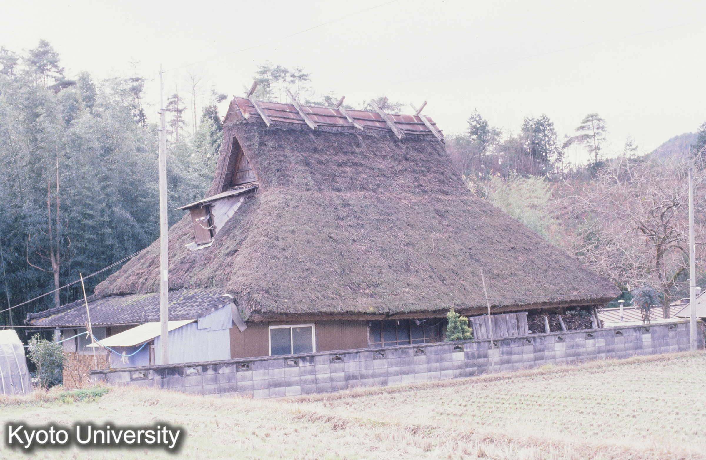 ［スライド］ (1)