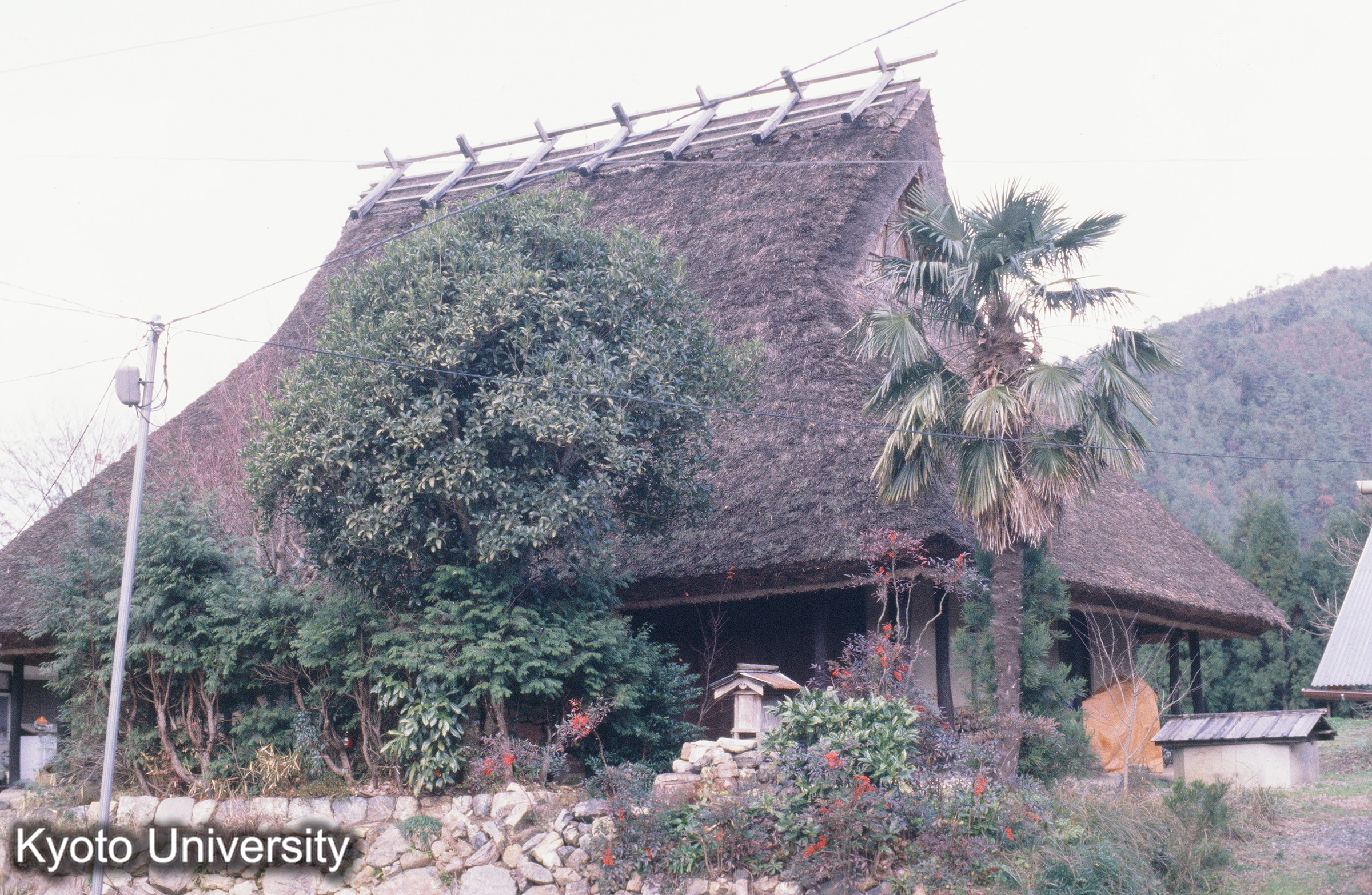 ［スライド］ (1)