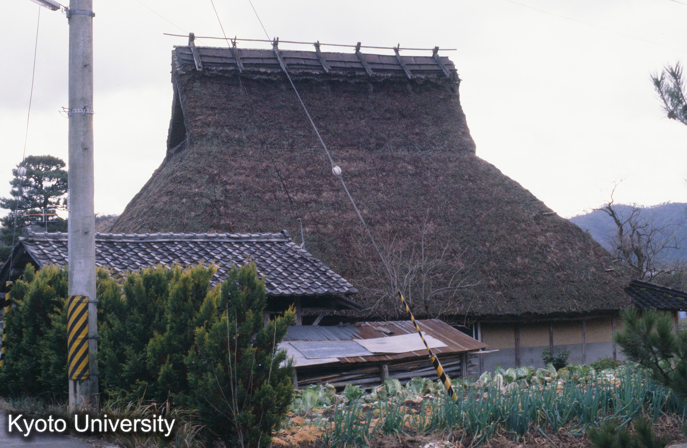 ［スライド］ (1)