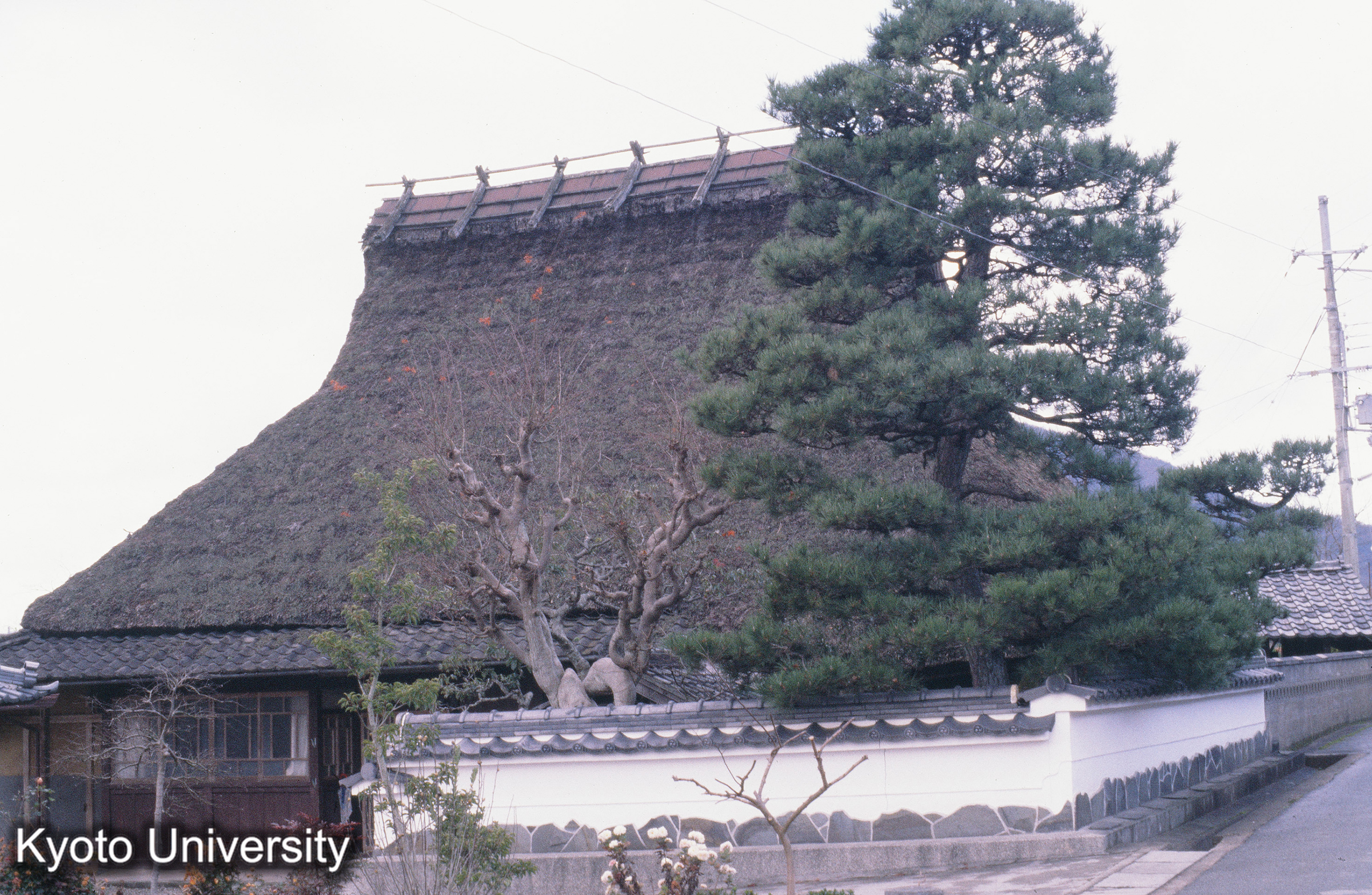 ［スライド］ (1)