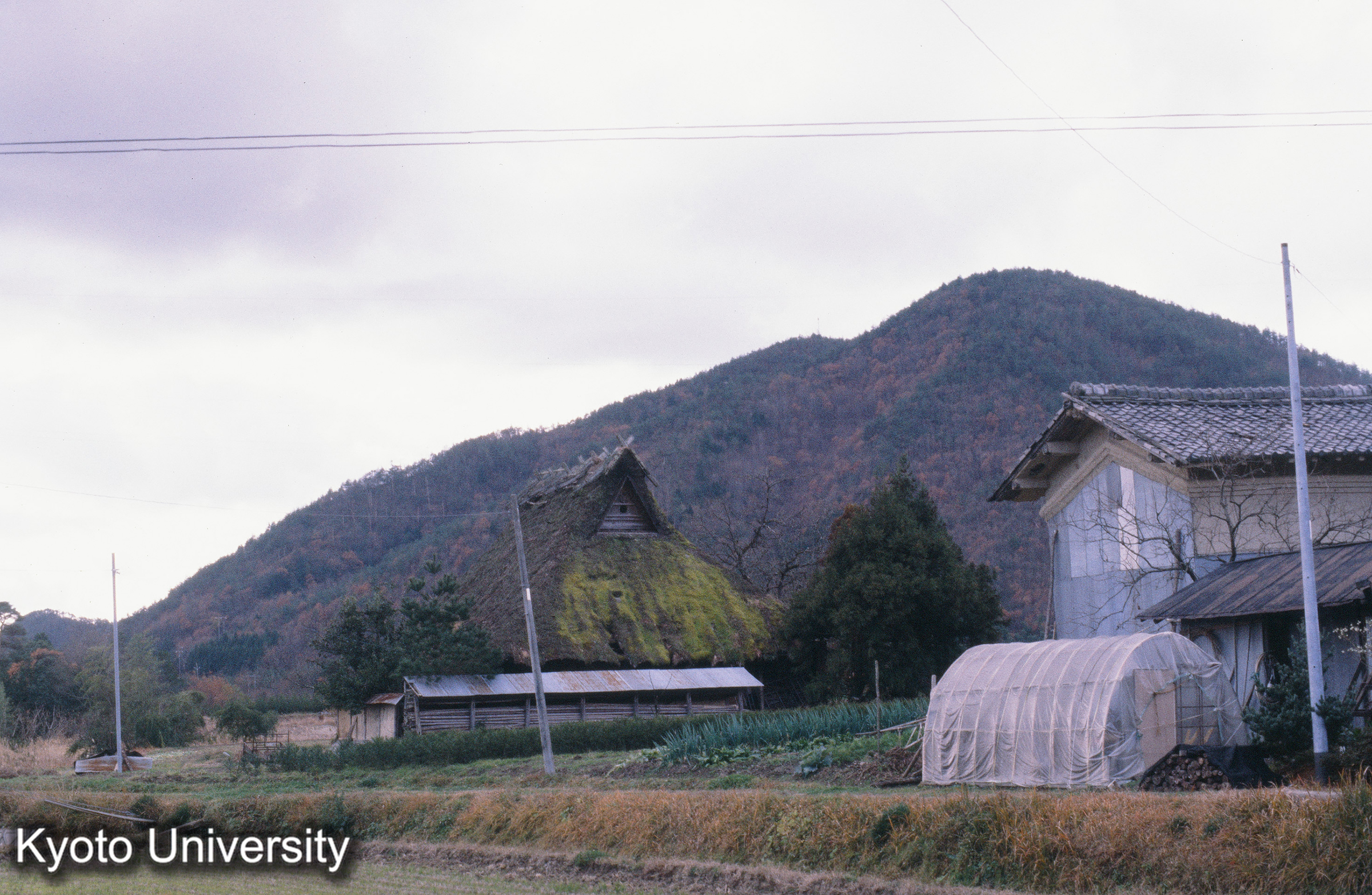 ［スライド］ (1)