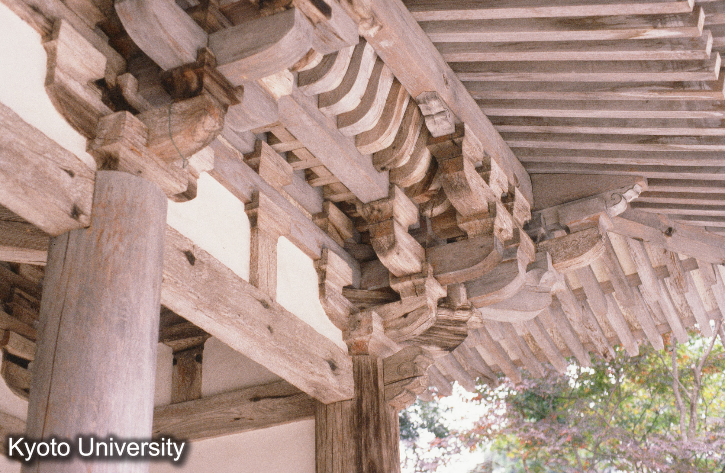 ［スライド］ (1)