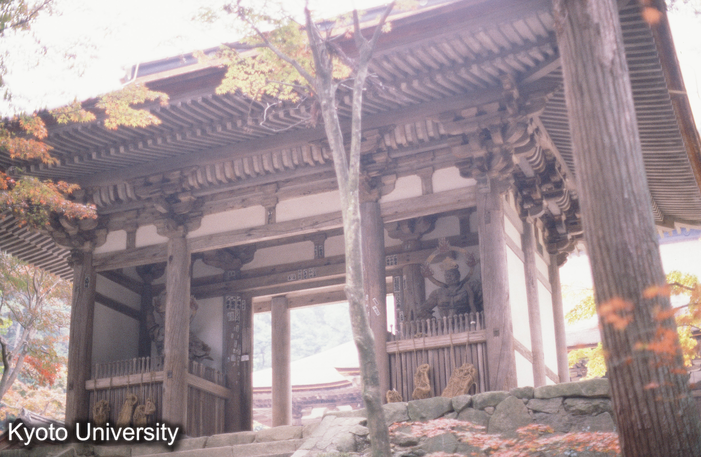 ［スライド］ (1)