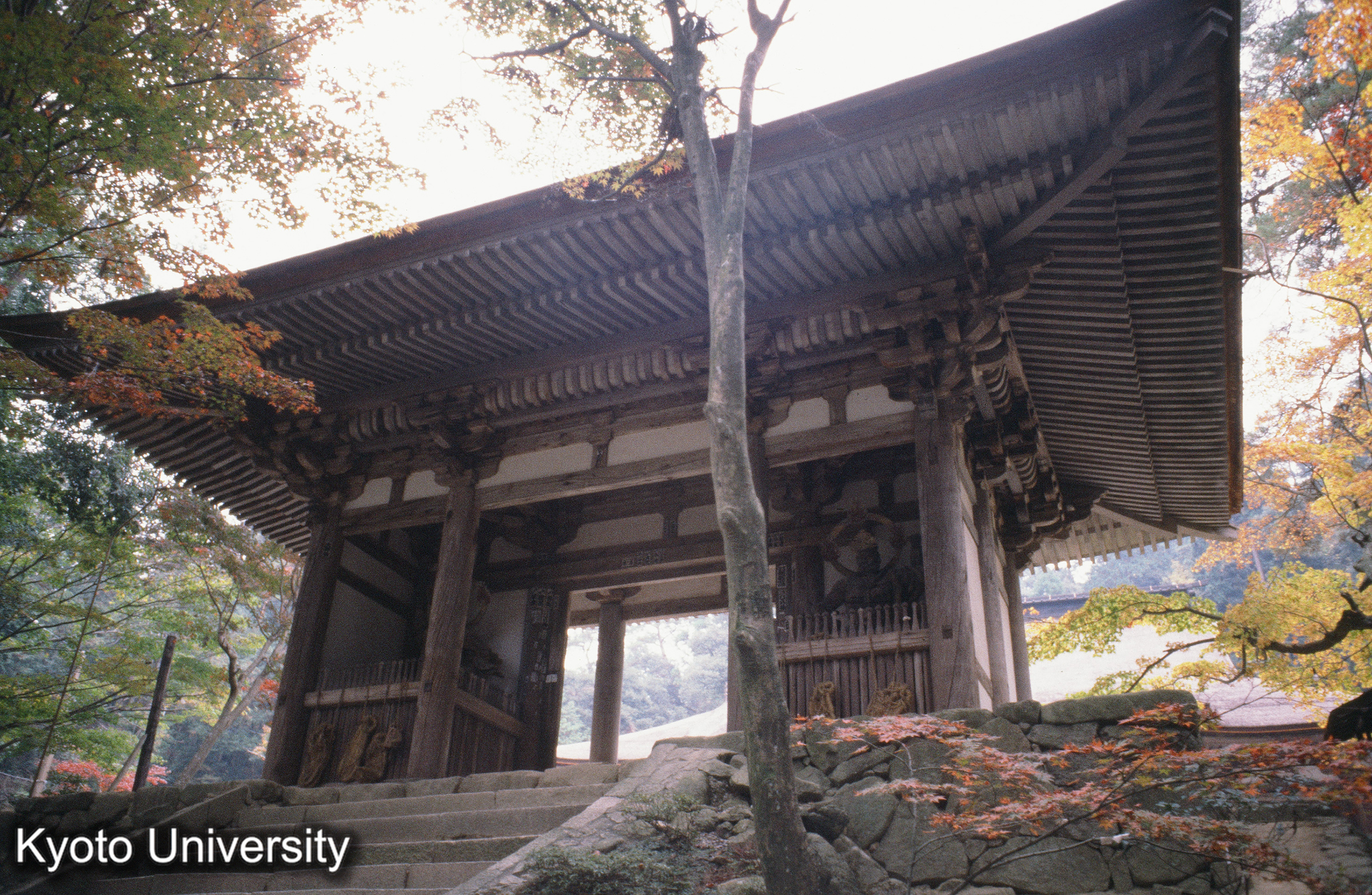 ［スライド］ (1)