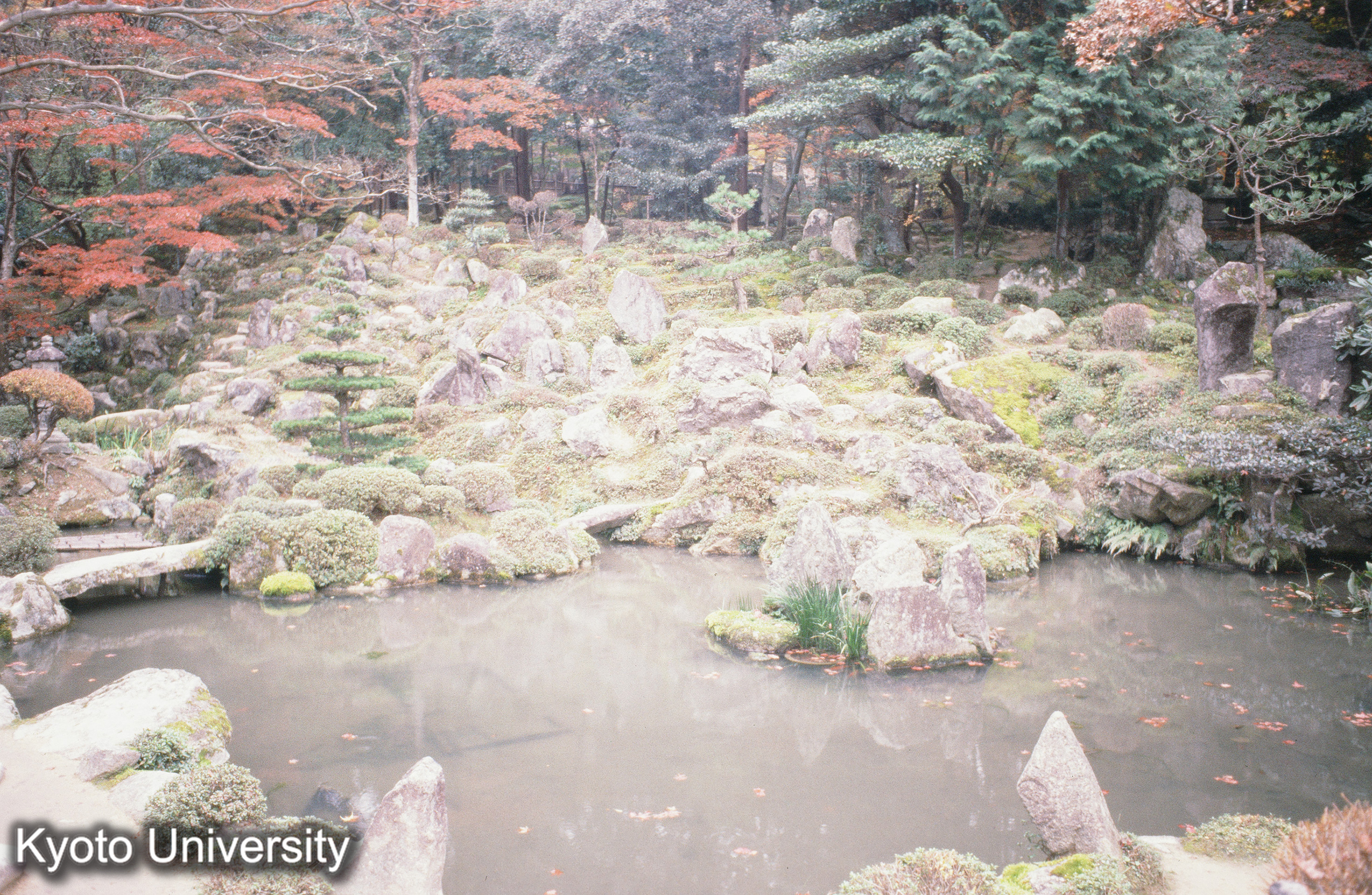 ［スライド］ (1)