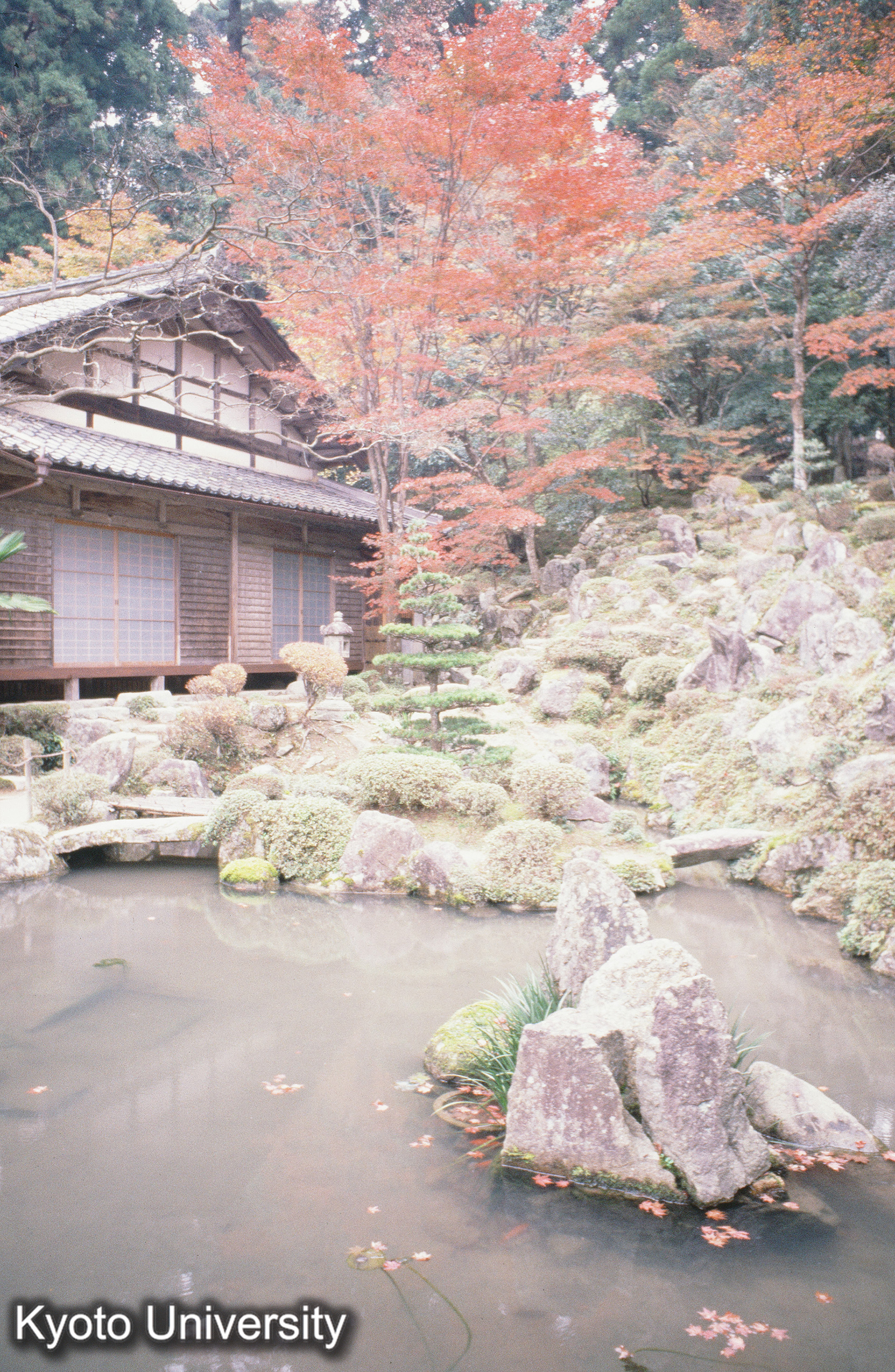 ［スライド］ (1)