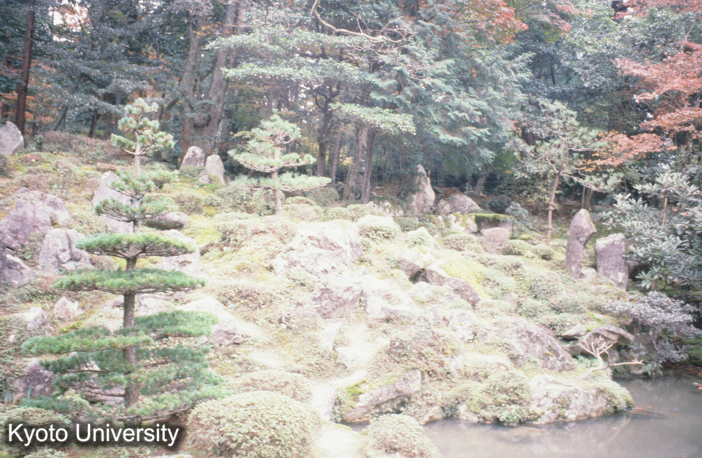 ［スライド］ (1)