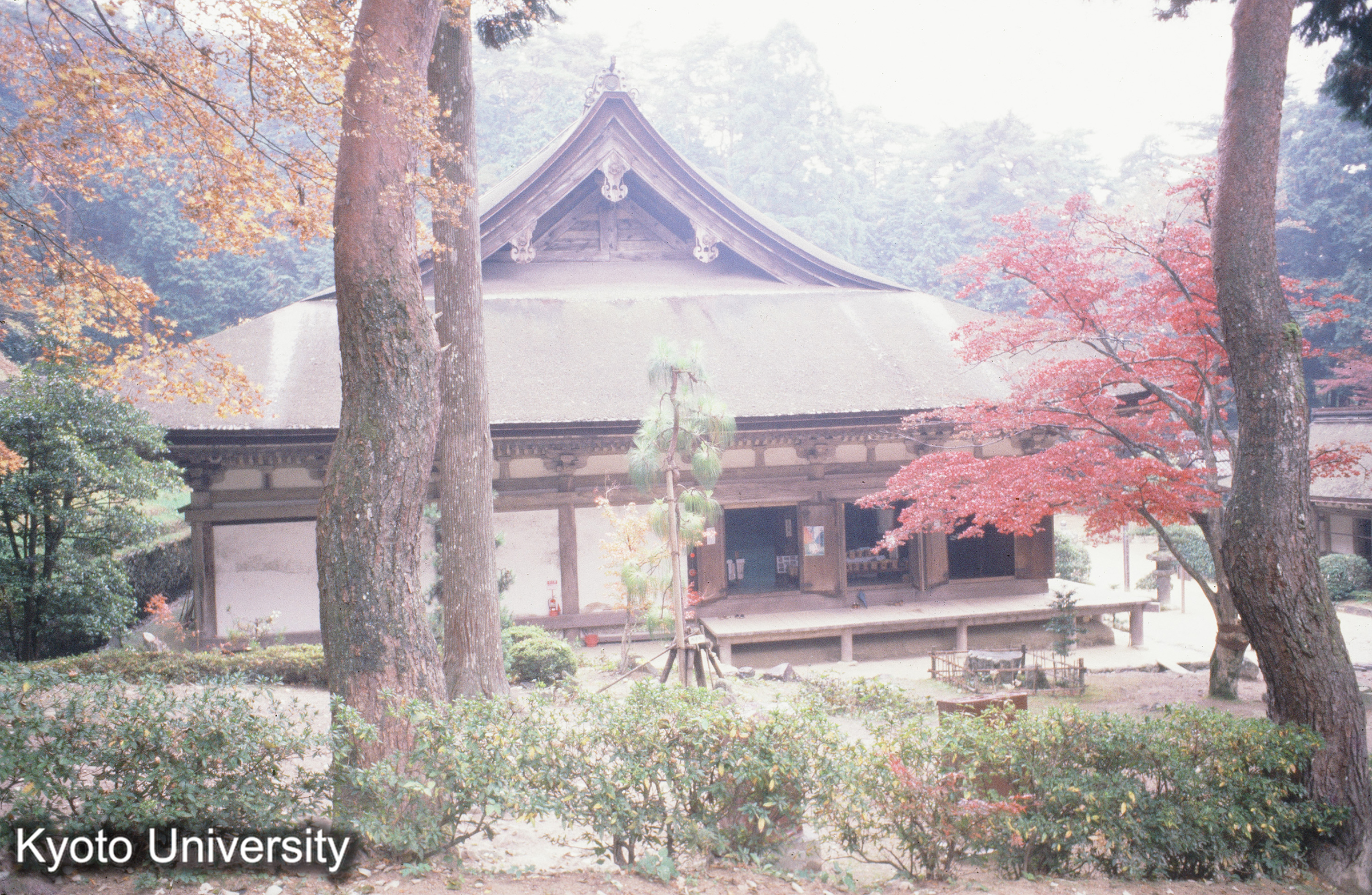 ［スライド］ (1)