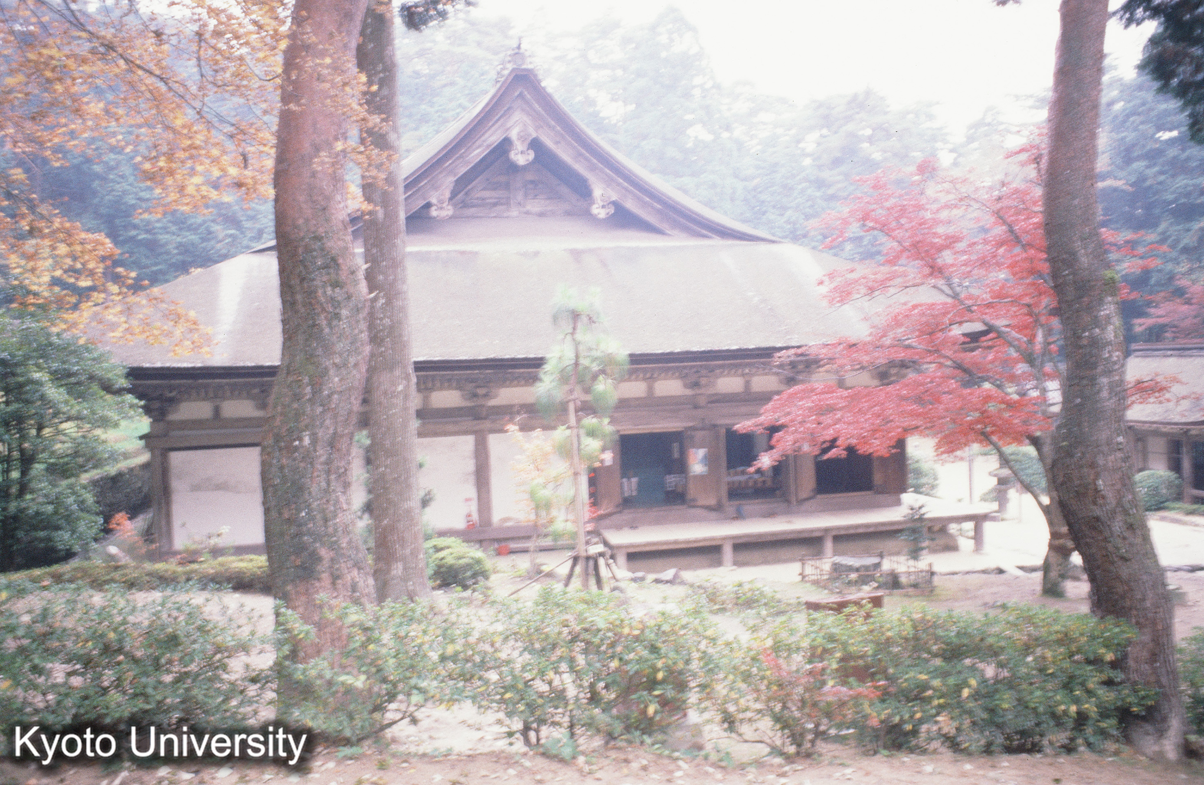 ［スライド］ (1)