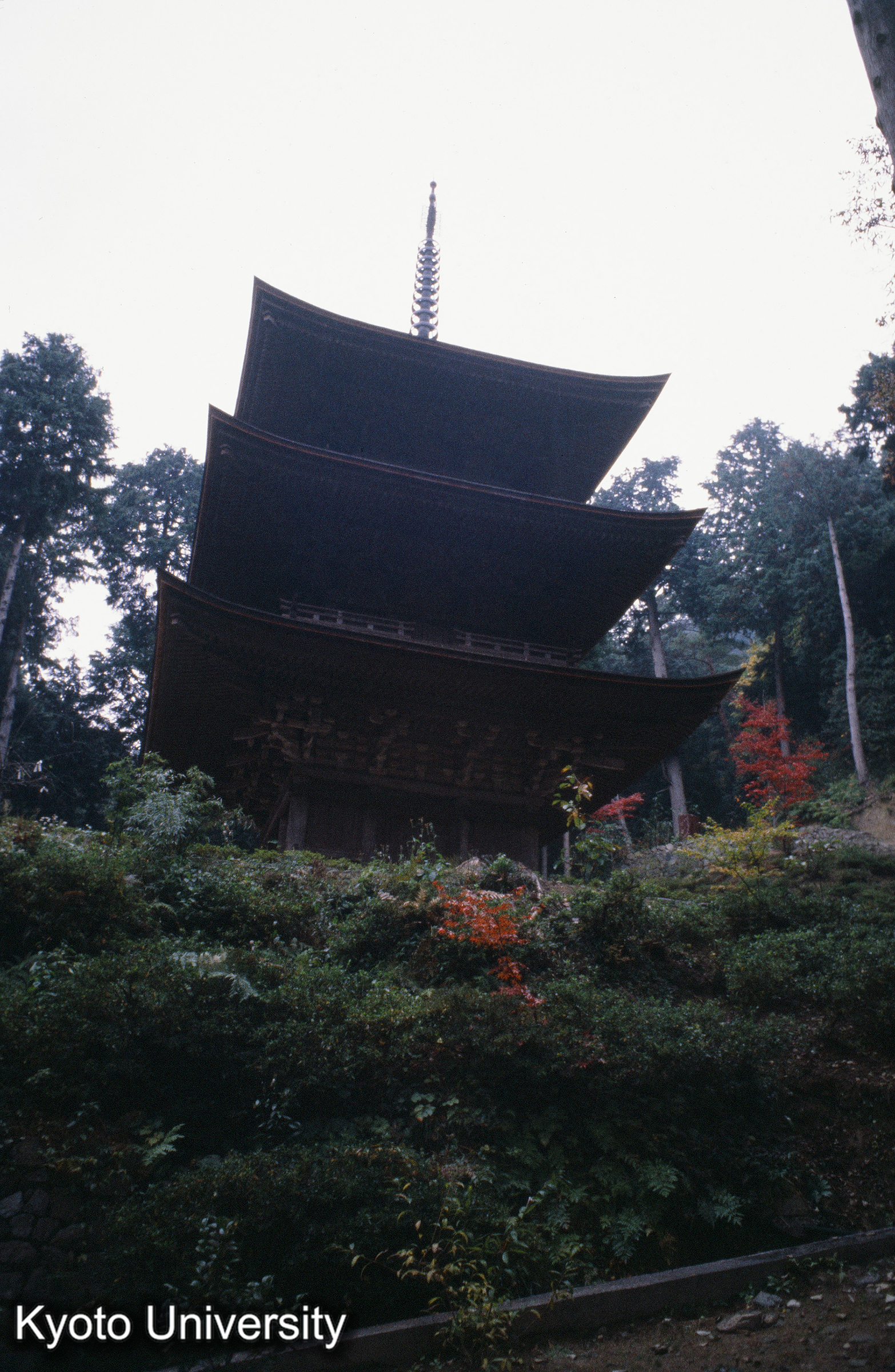 ［スライド］ (1)