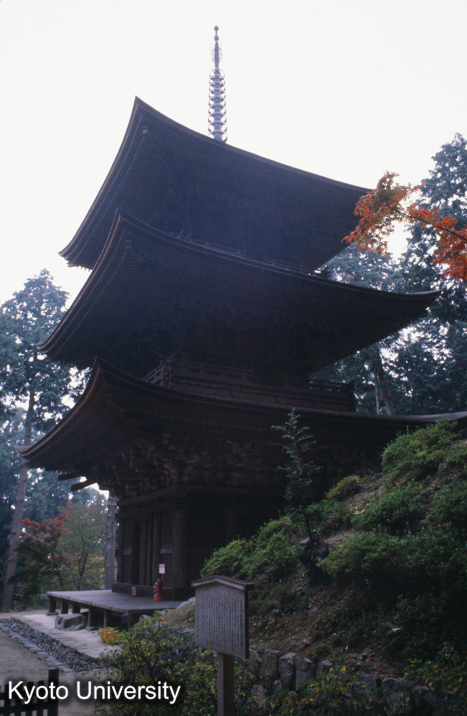 ［スライド］ (1)