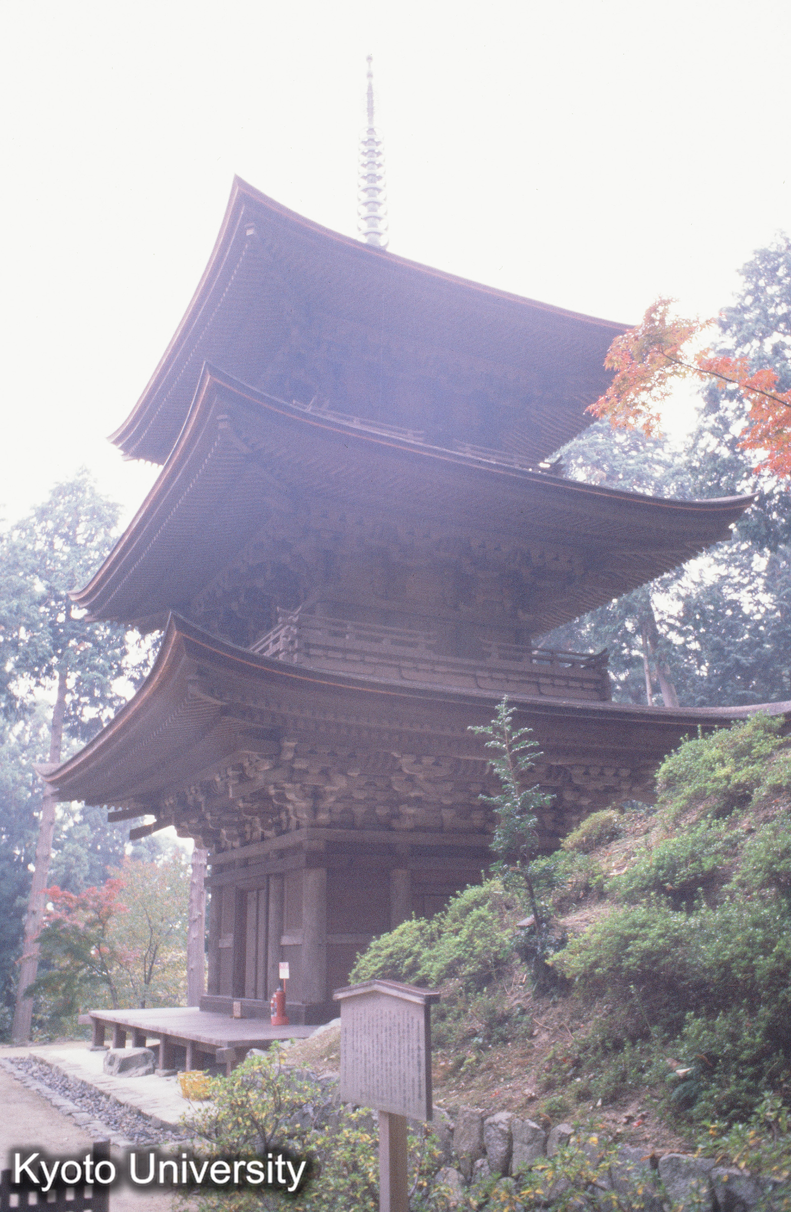 ［スライド］ (1)