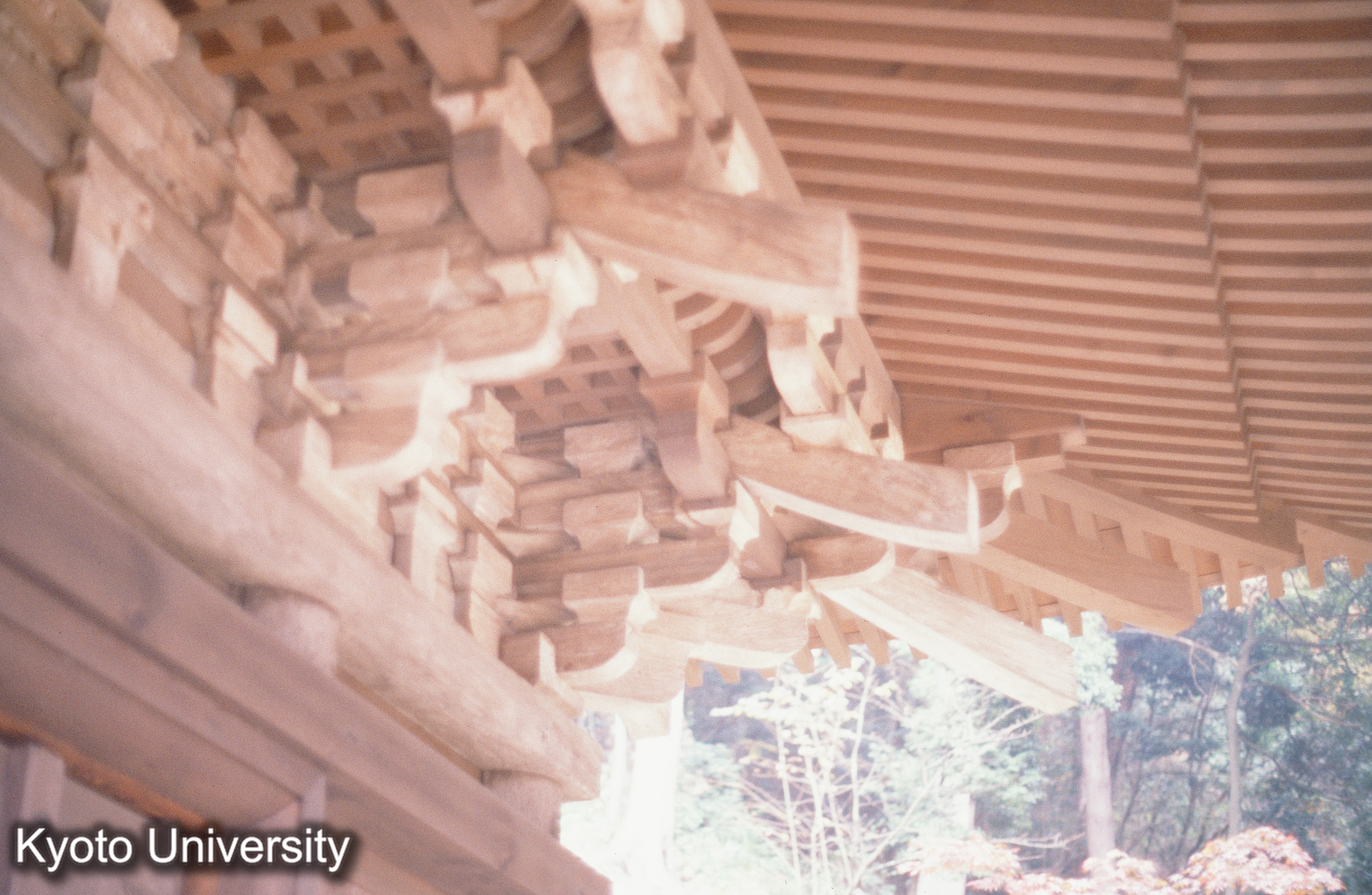 ［スライド］ (1)