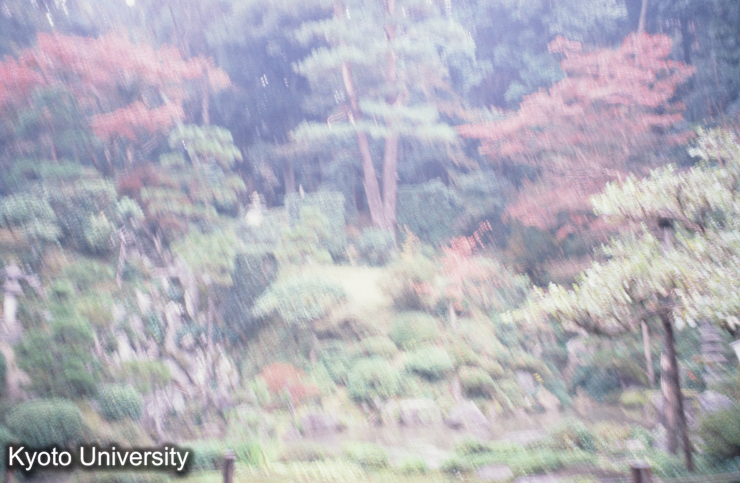 ［スライド］ (1)