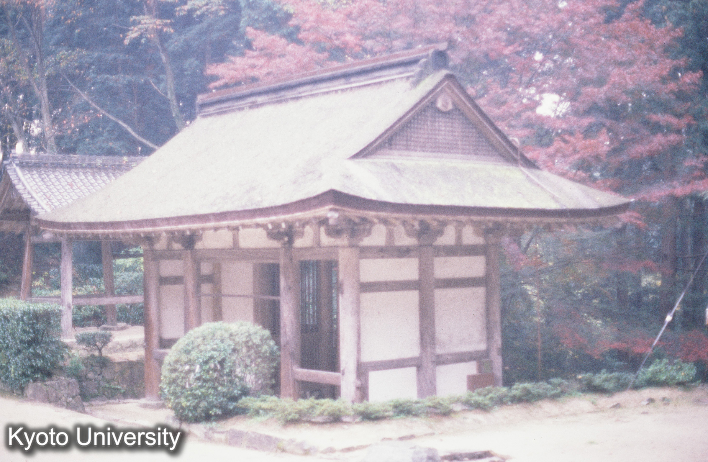 ［スライド］ (1)