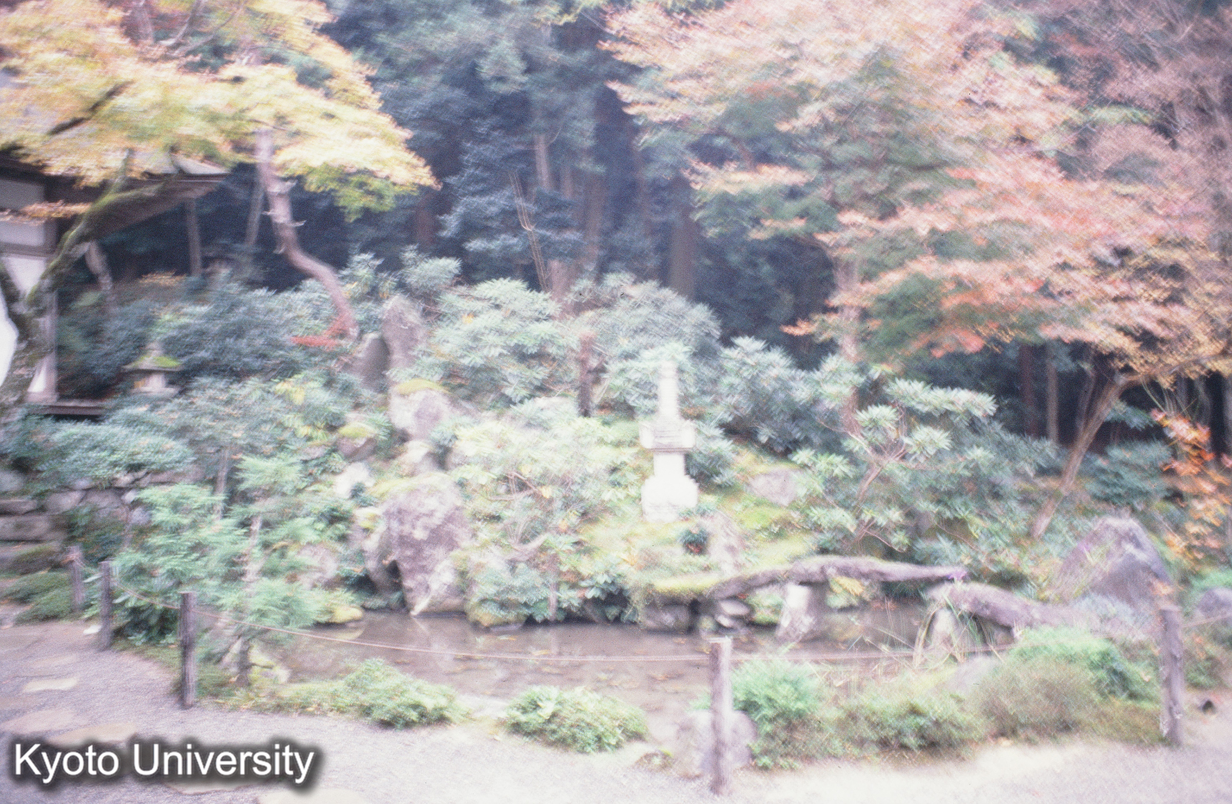 ［スライド］ (1)