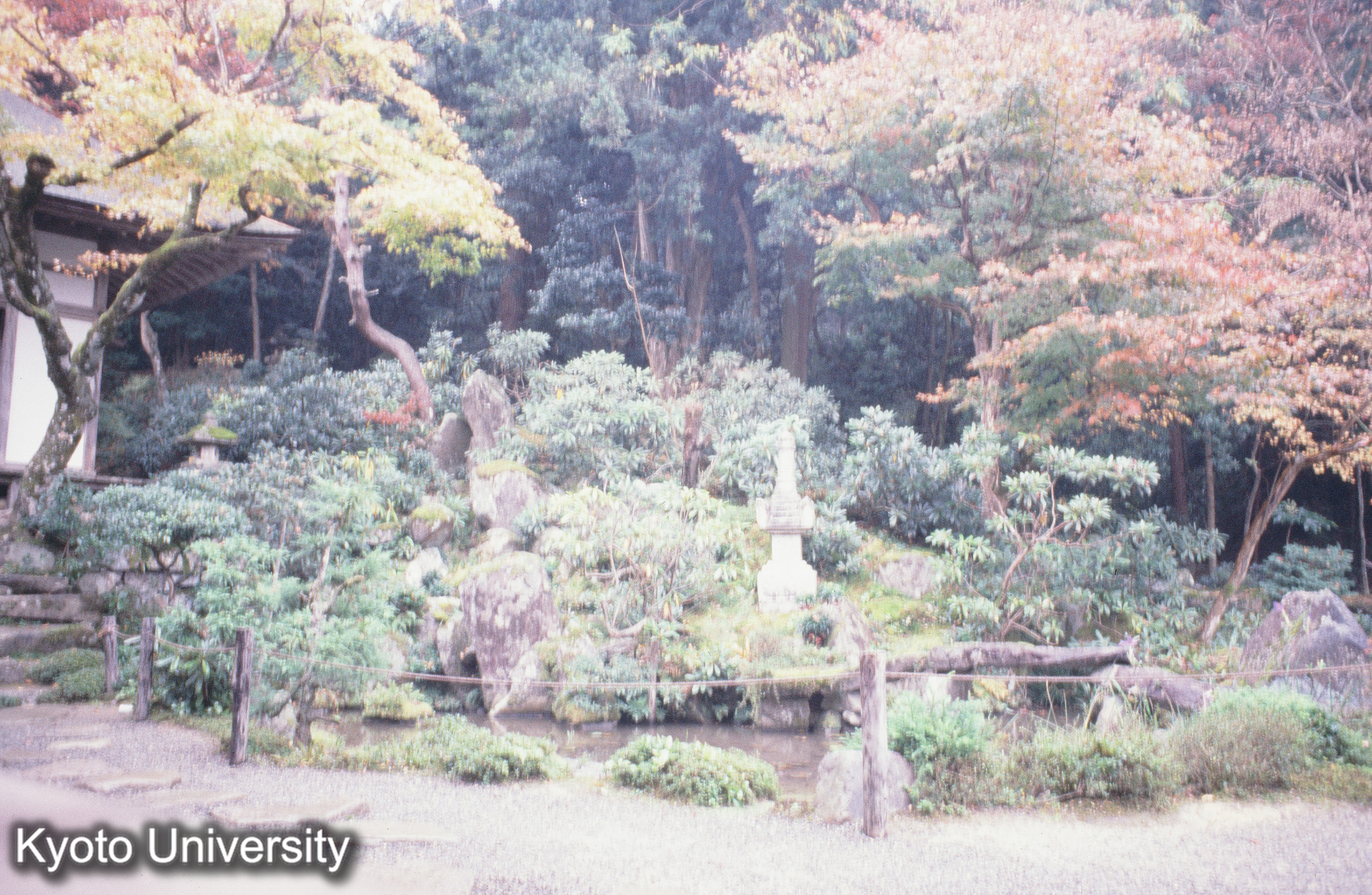 ［スライド］ (1)