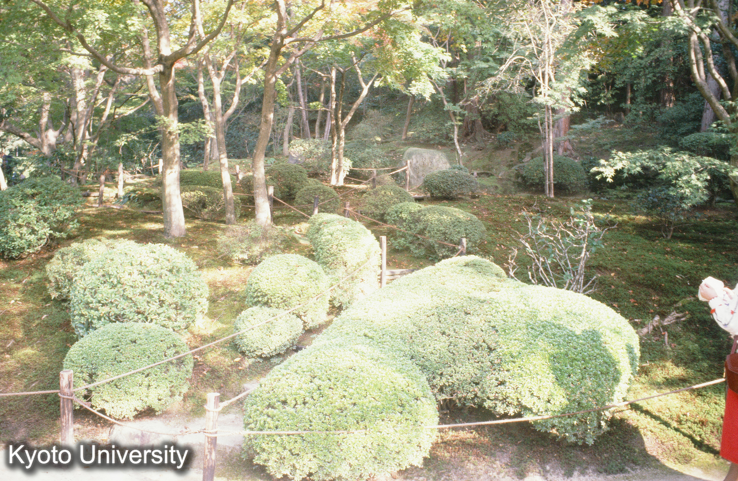 ［スライド］ (1)