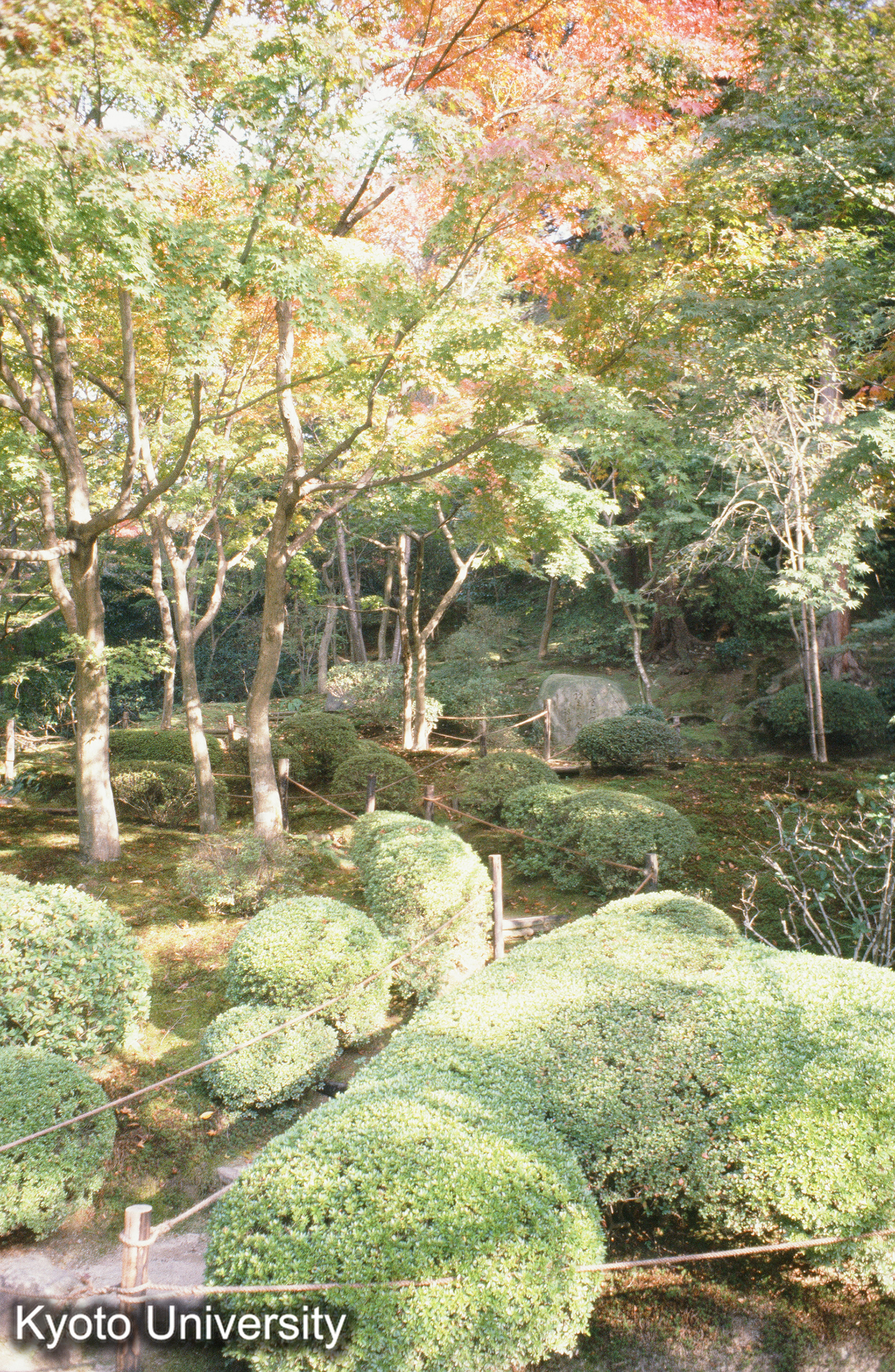 ［スライド］ (1)