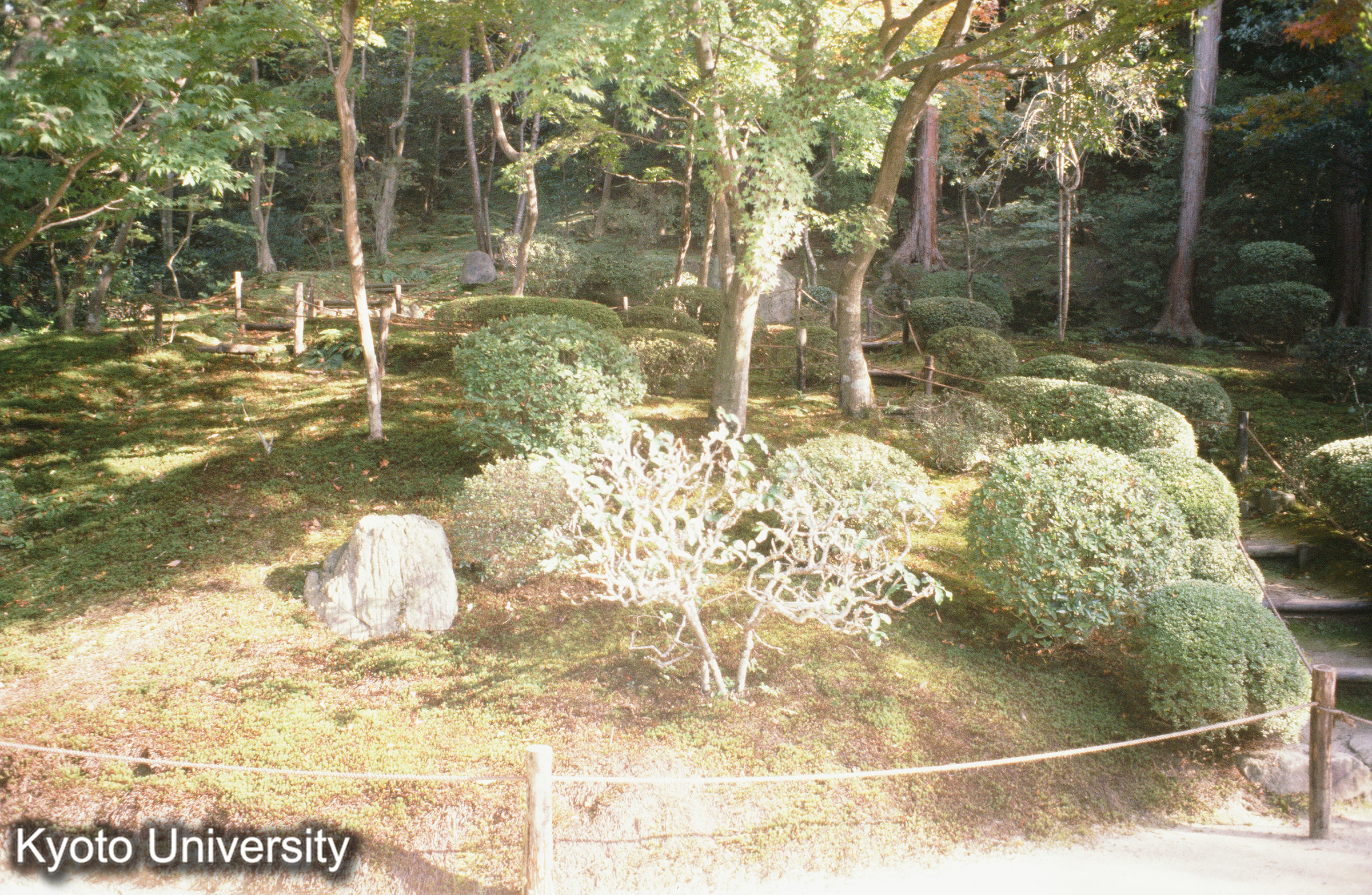 ［スライド］ (1)