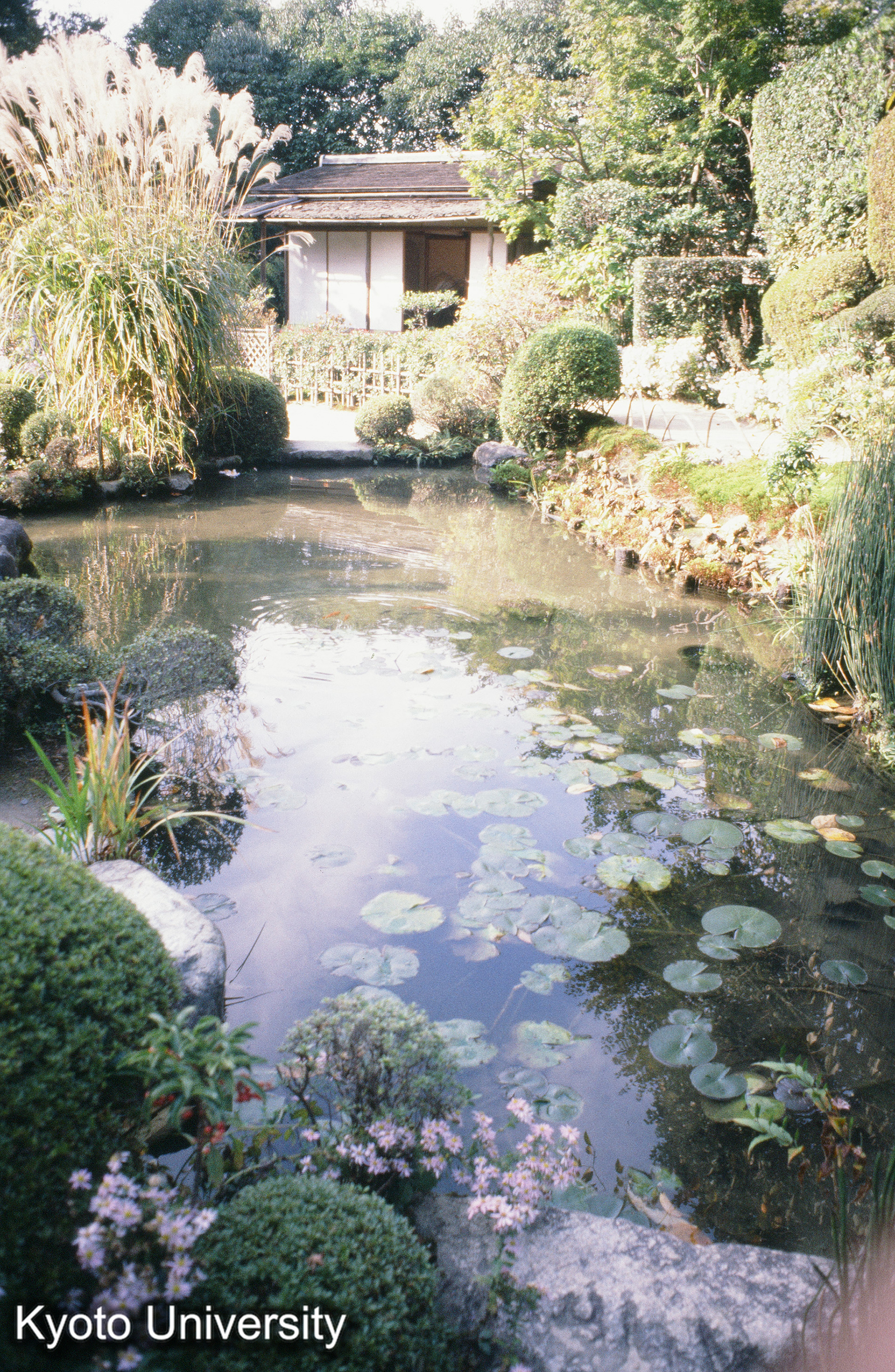 ［スライド］ (1)