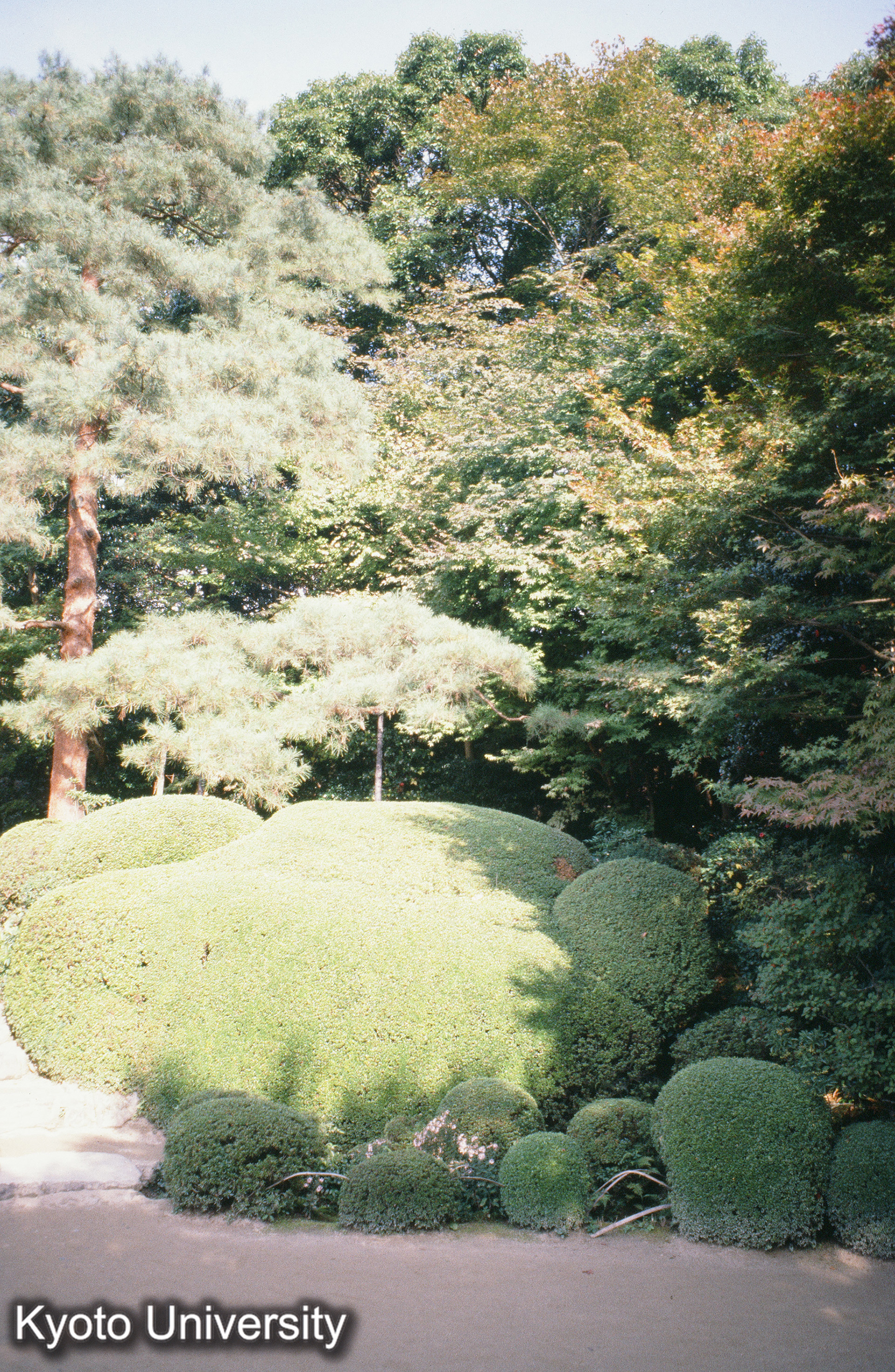 ［スライド］ (1)