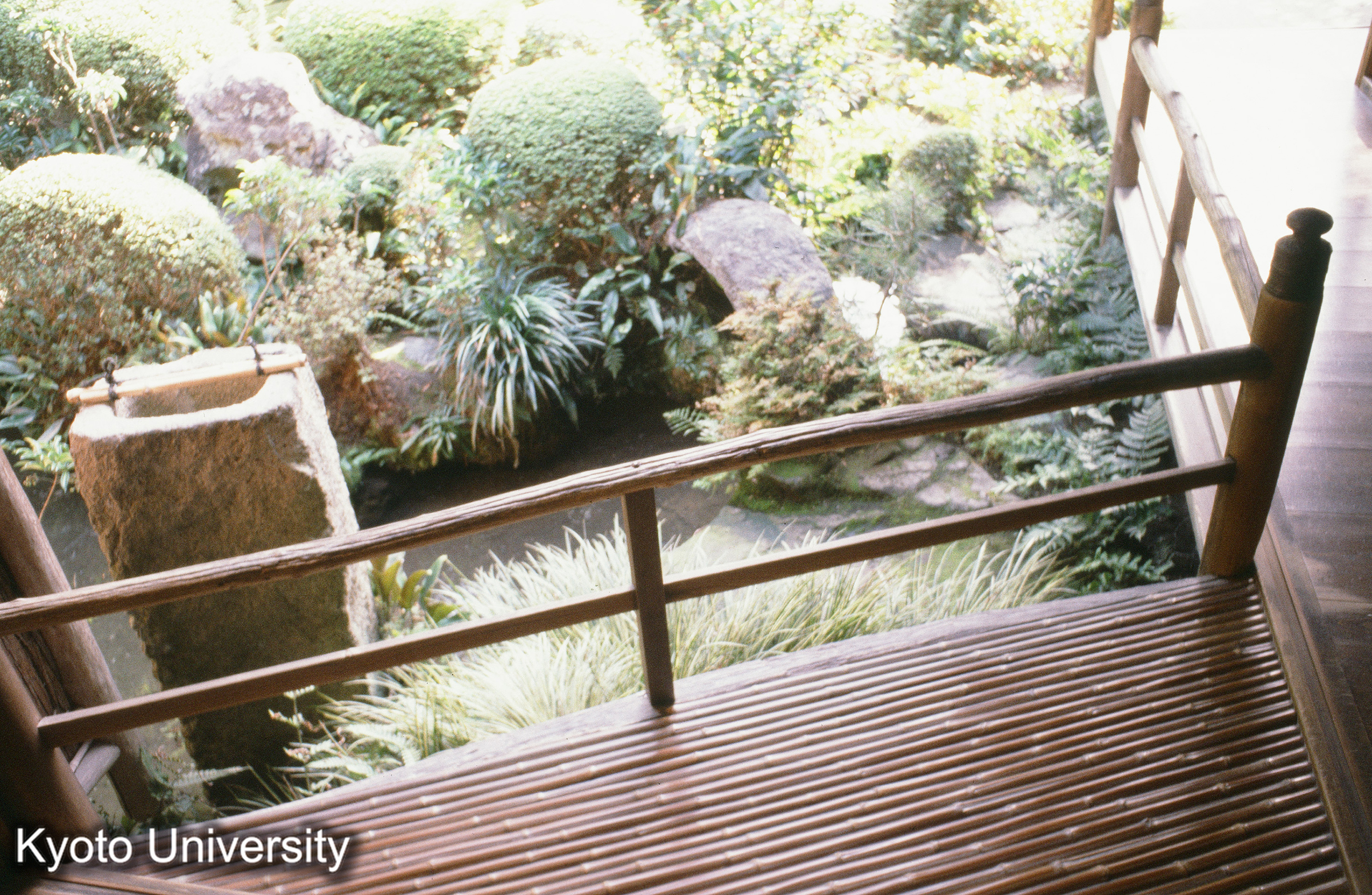 ［スライド］ (1)