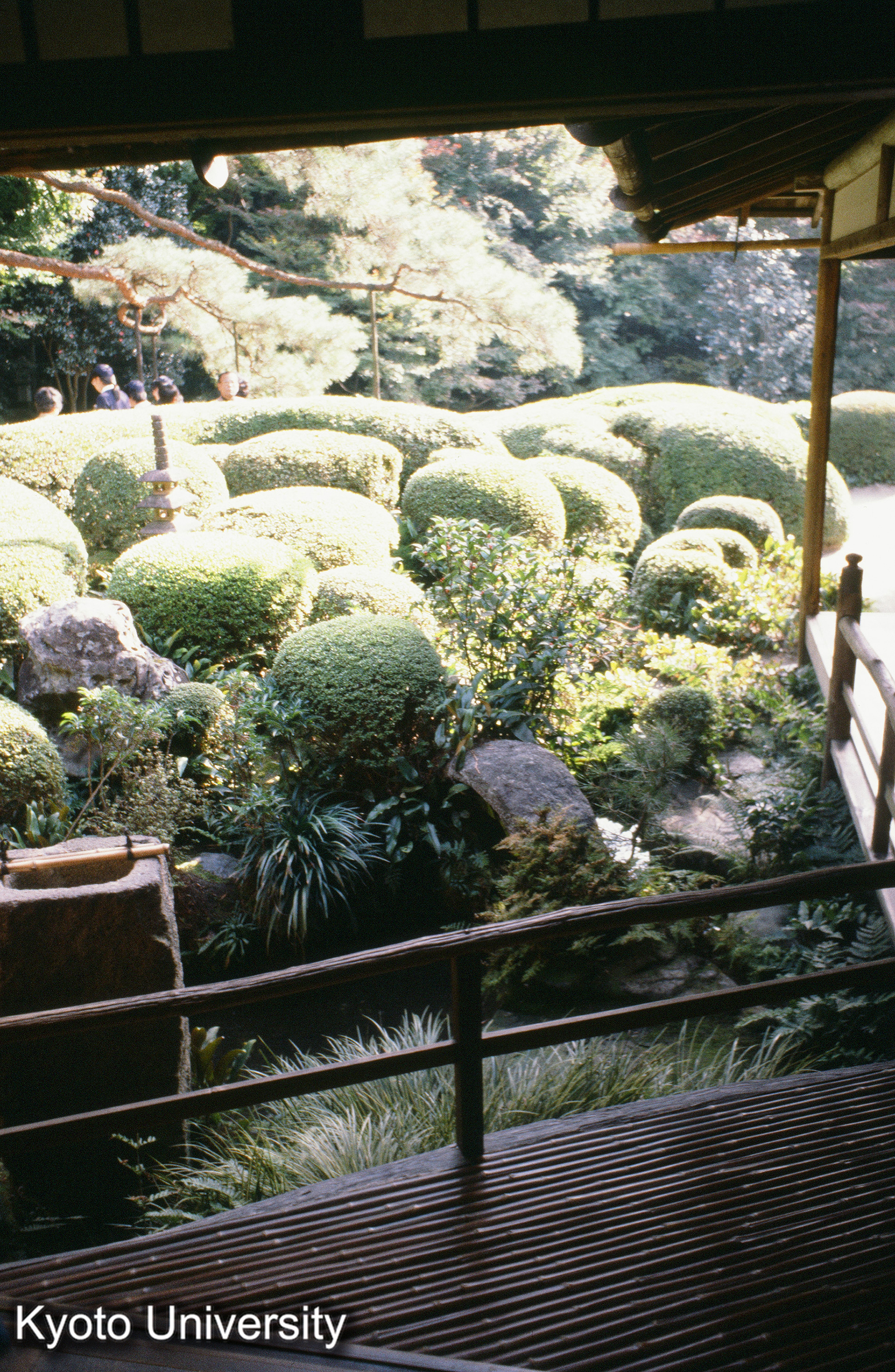 ［スライド］ (1)