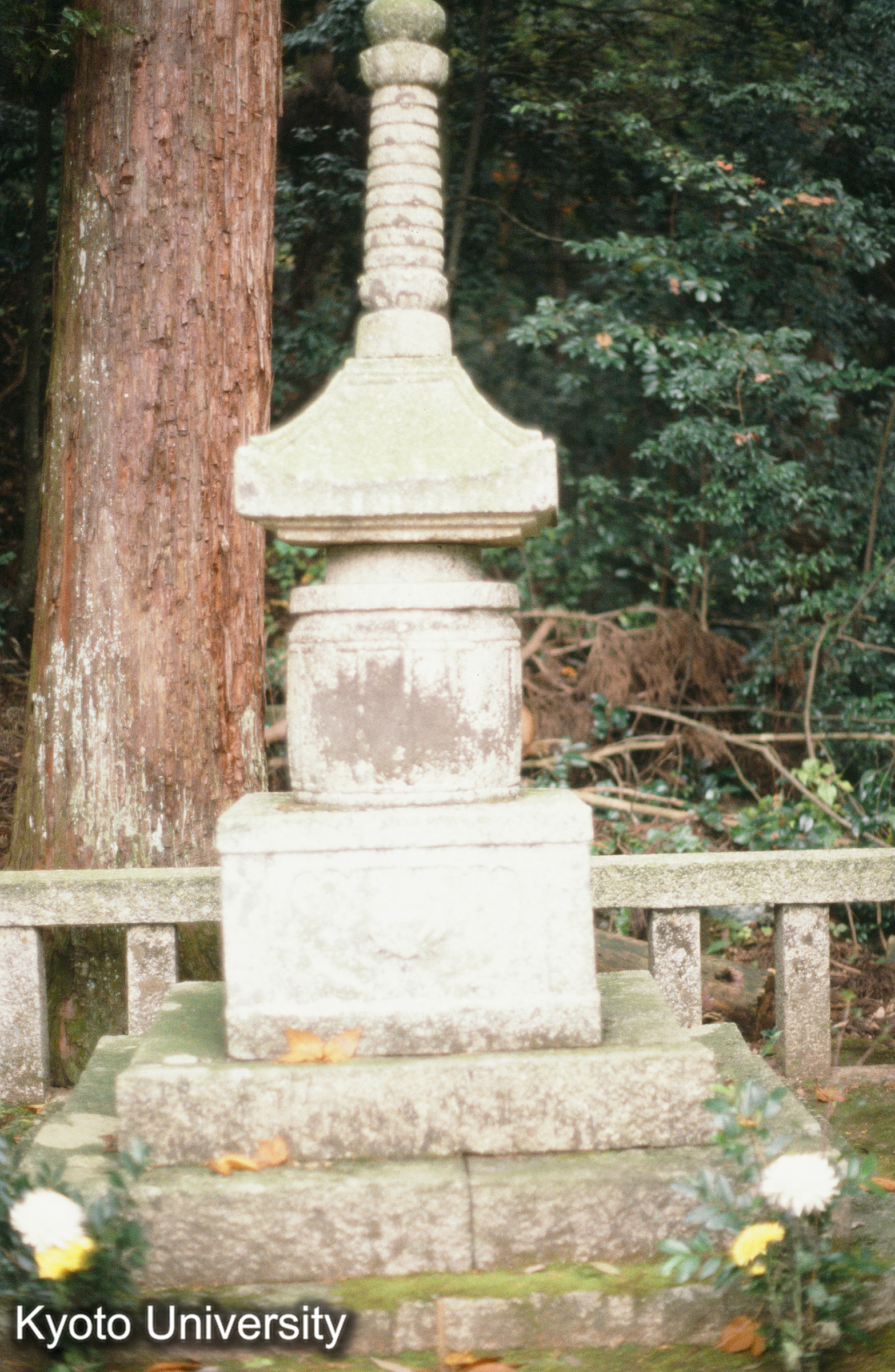 ［スライド］ (1)