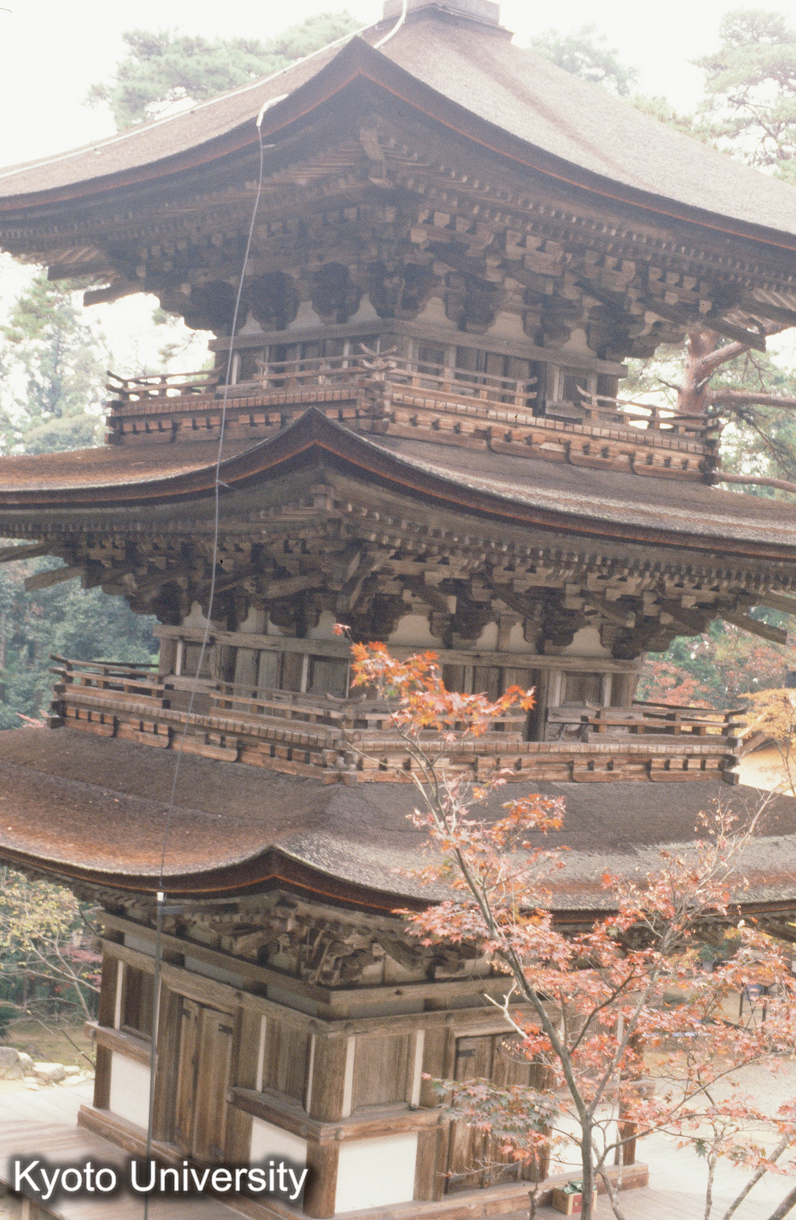 ［スライド］ (1)