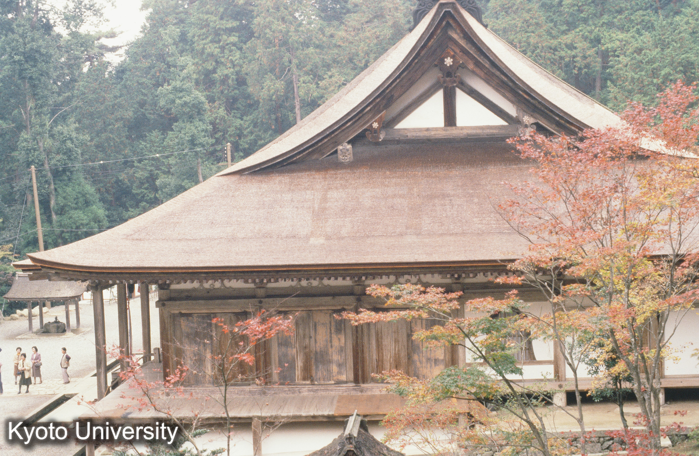 ［スライド］ (1)