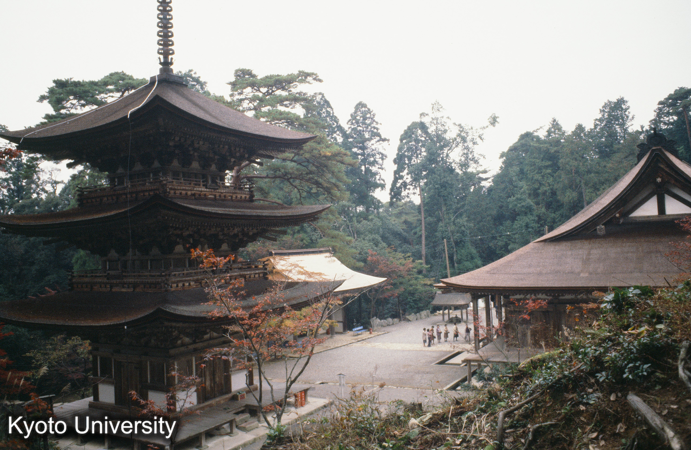 ［スライド］ (1)