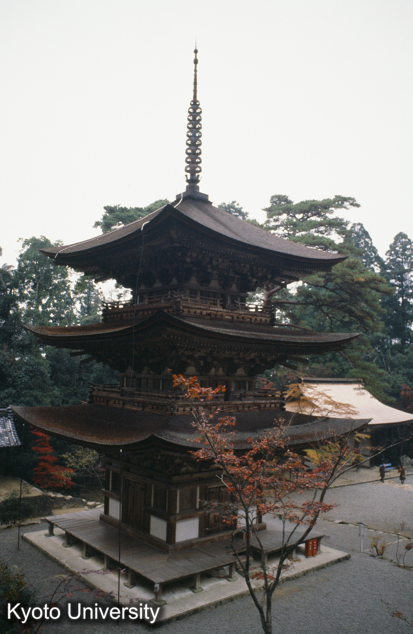 ［スライド］ (1)