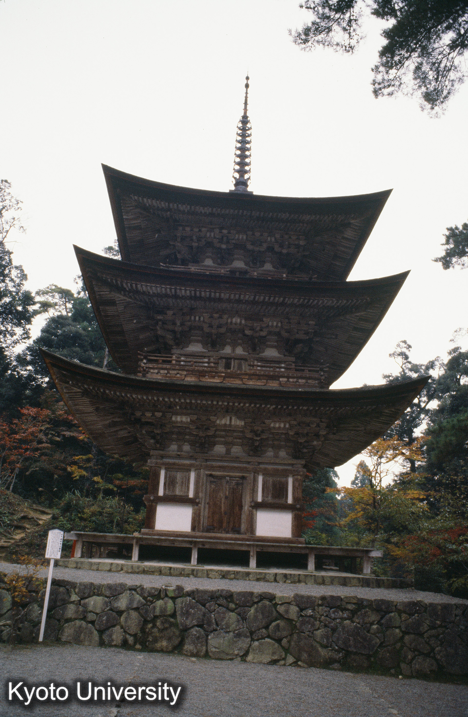 ［スライド］ (1)