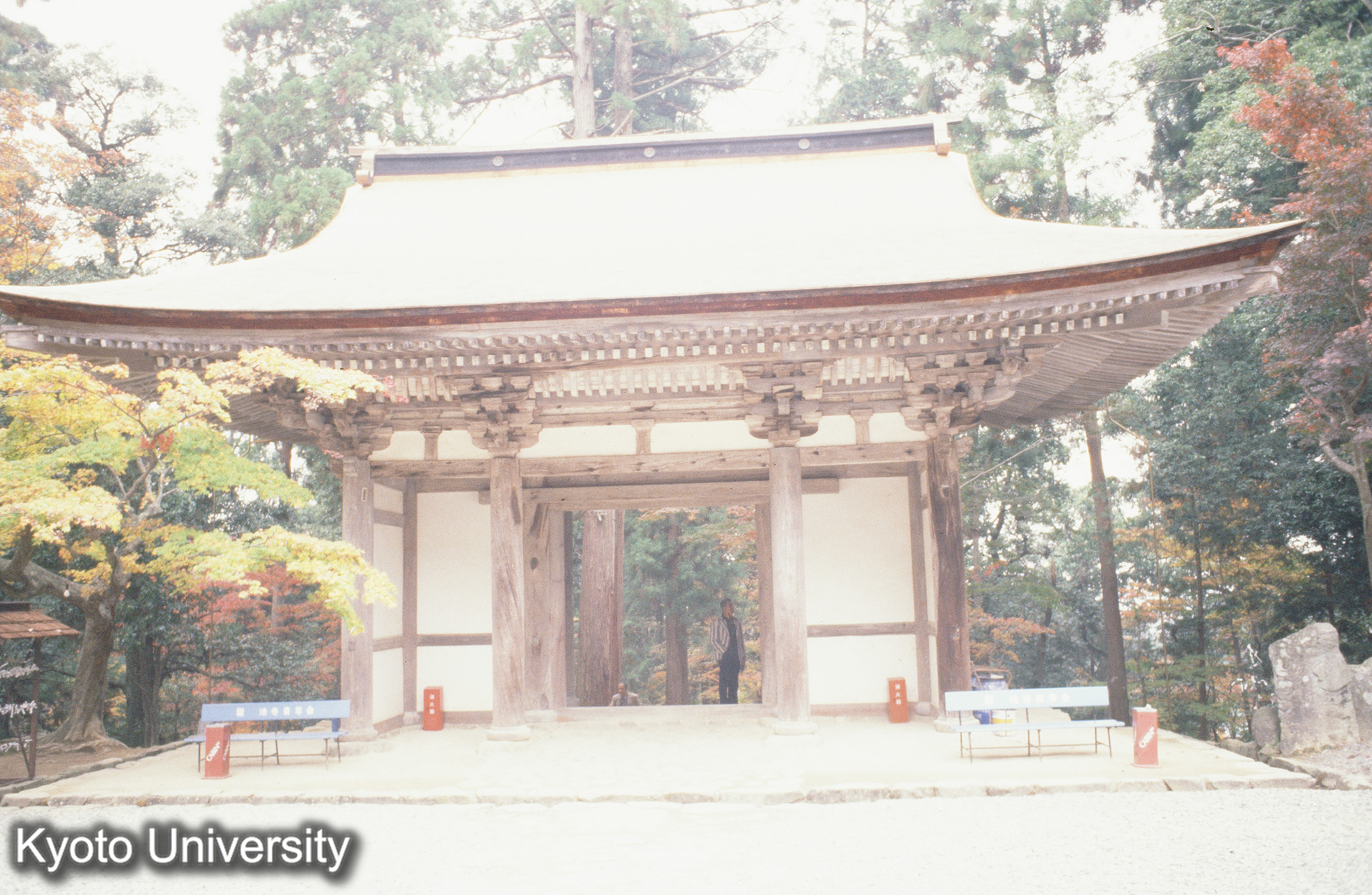 ［スライド］ (1)