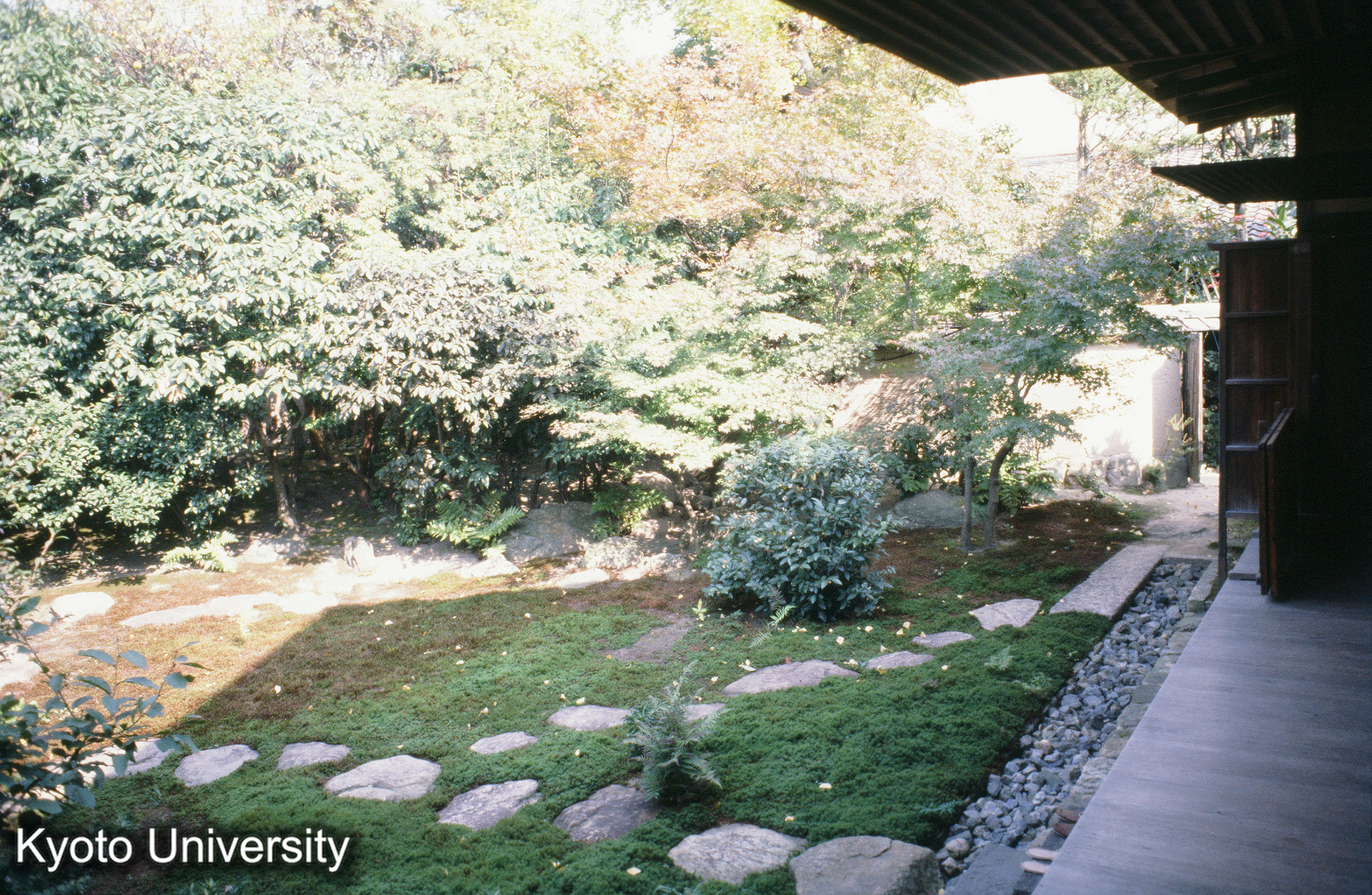 ［スライド］ (1)