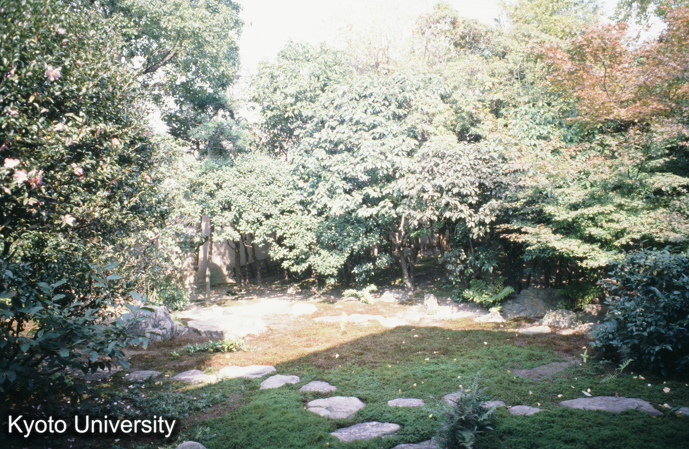 ［スライド］ (1)