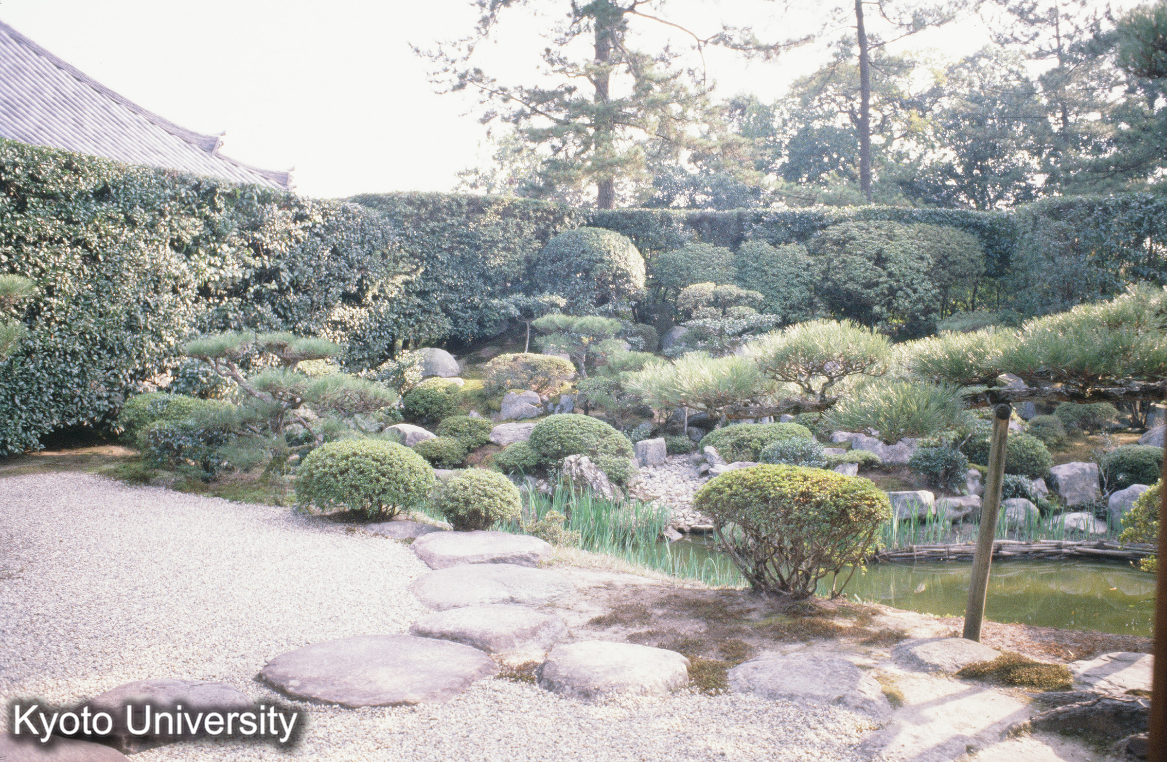 ［スライド］ (1)