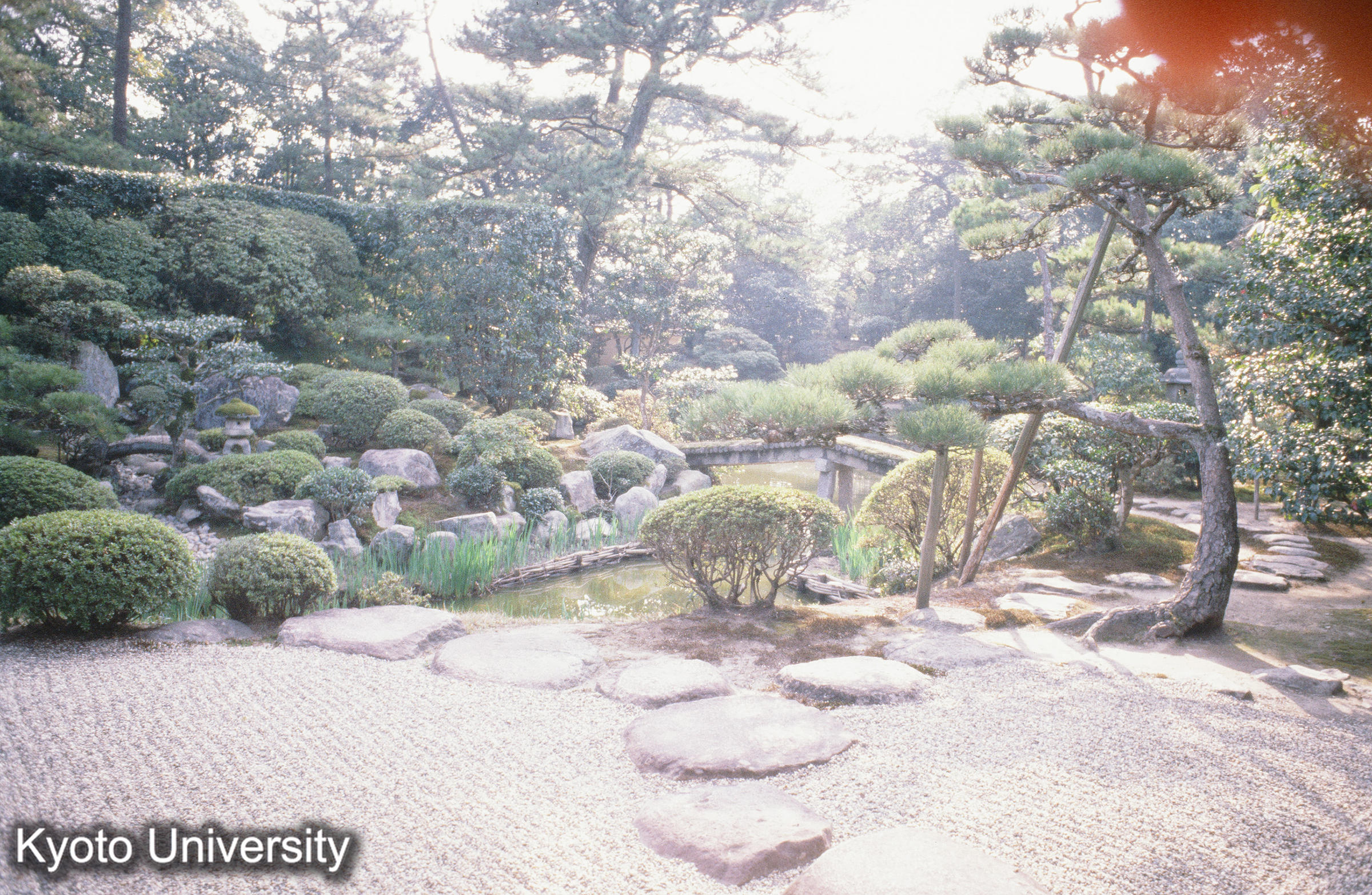 ［スライド］ (1)