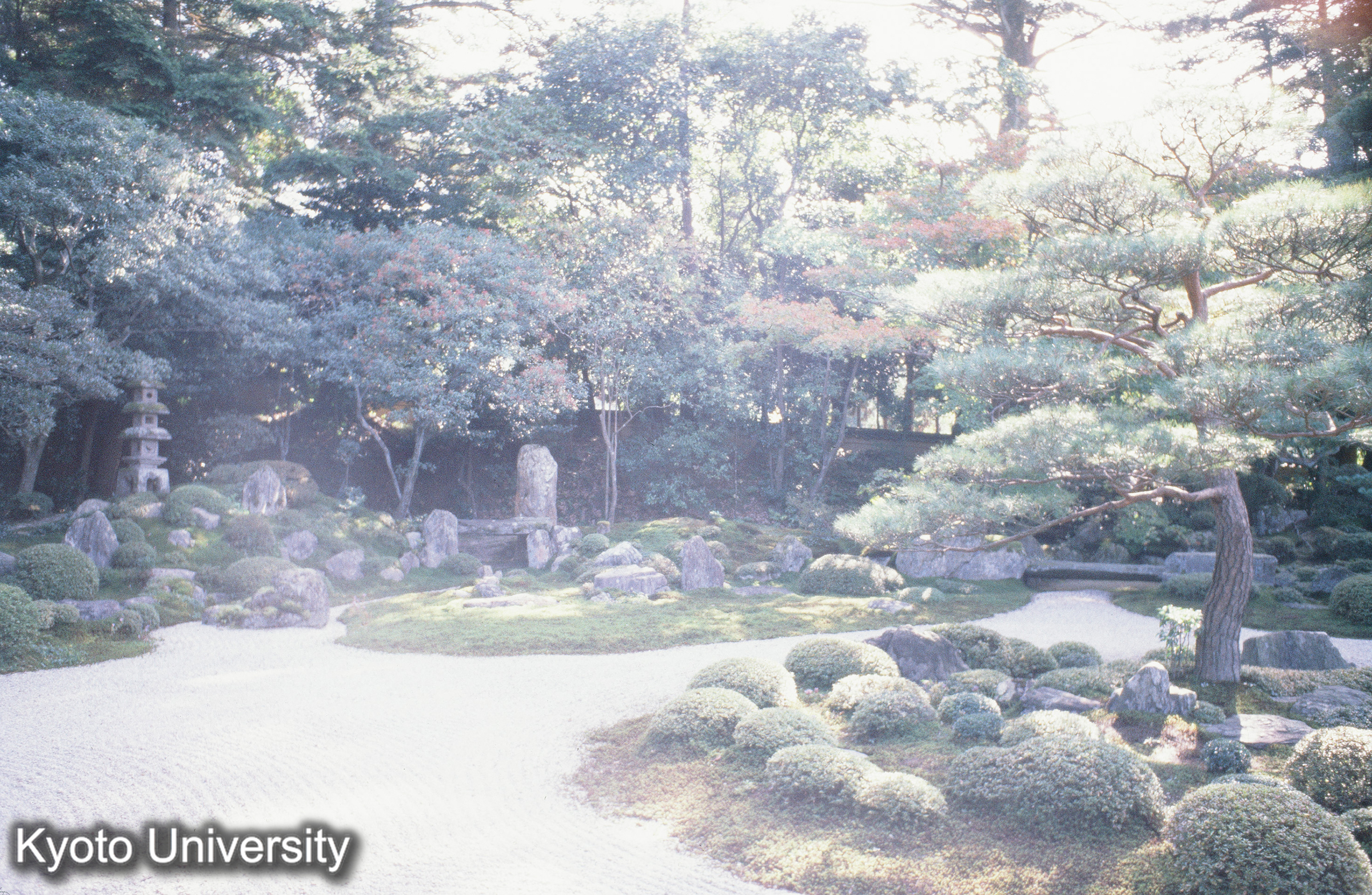 ［スライド］ (1)