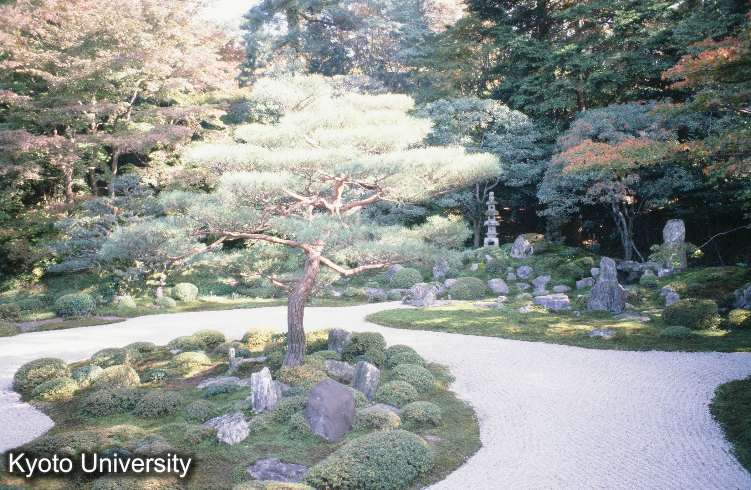 ［スライド］ (1)