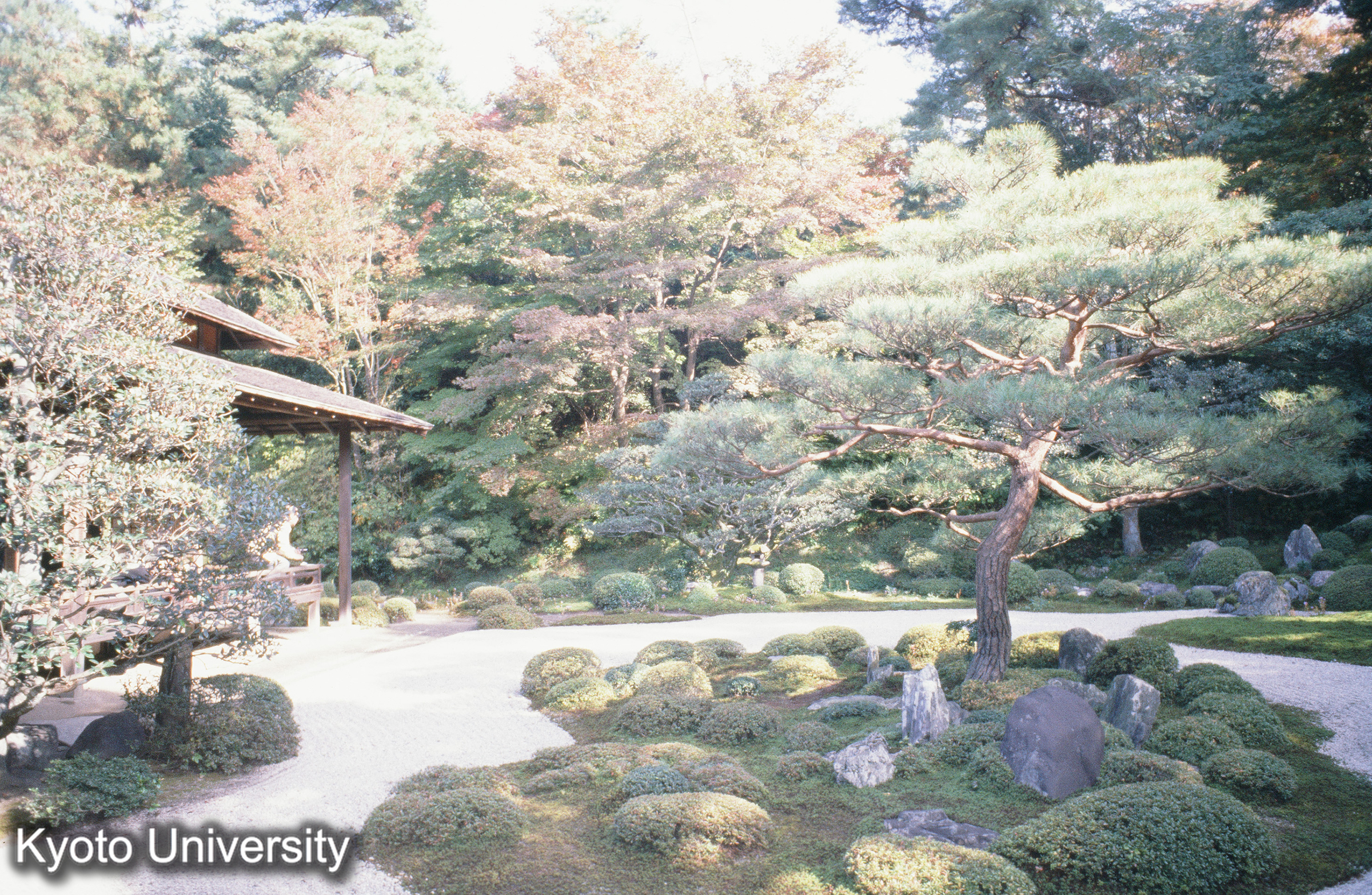 ［スライド］ (1)