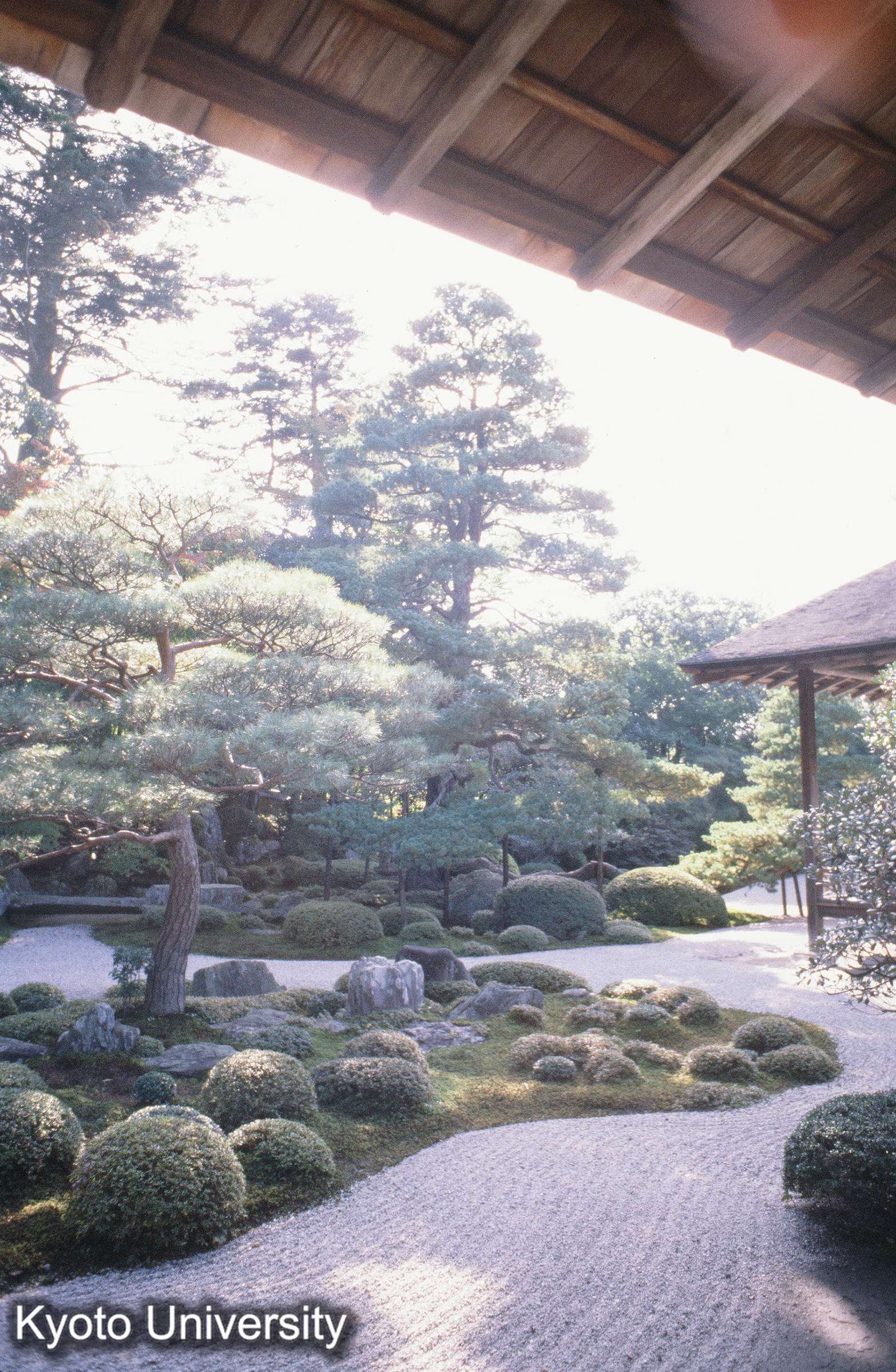 ［スライド］ (1)